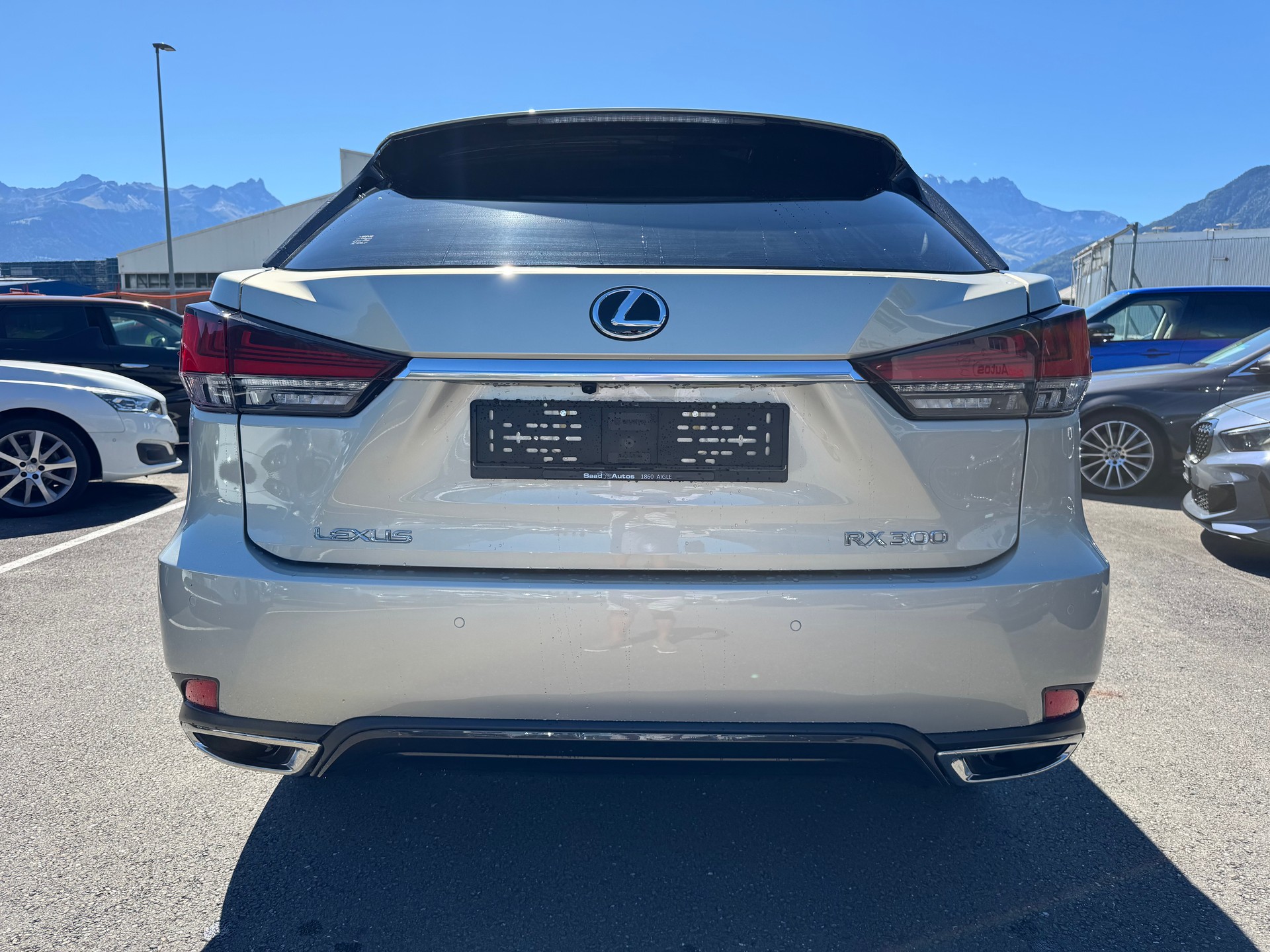LEXUS RX 300 Special Edition AWD-image-4