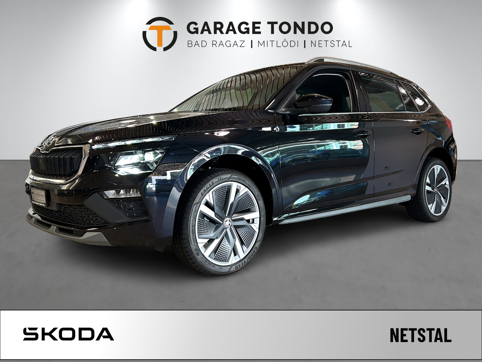 SKODA KAMIQ 1.0 TSI SELECTION DSG-image-0