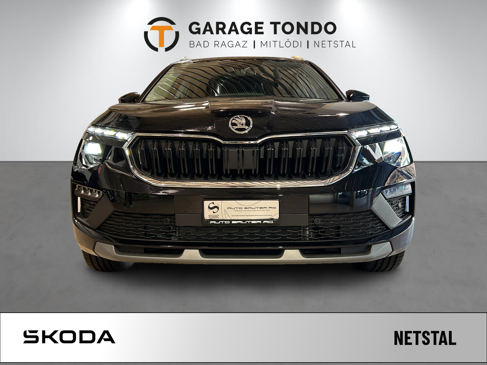 SKODA KAMIQ 1.0 TSI SELECTION DSG-image-1