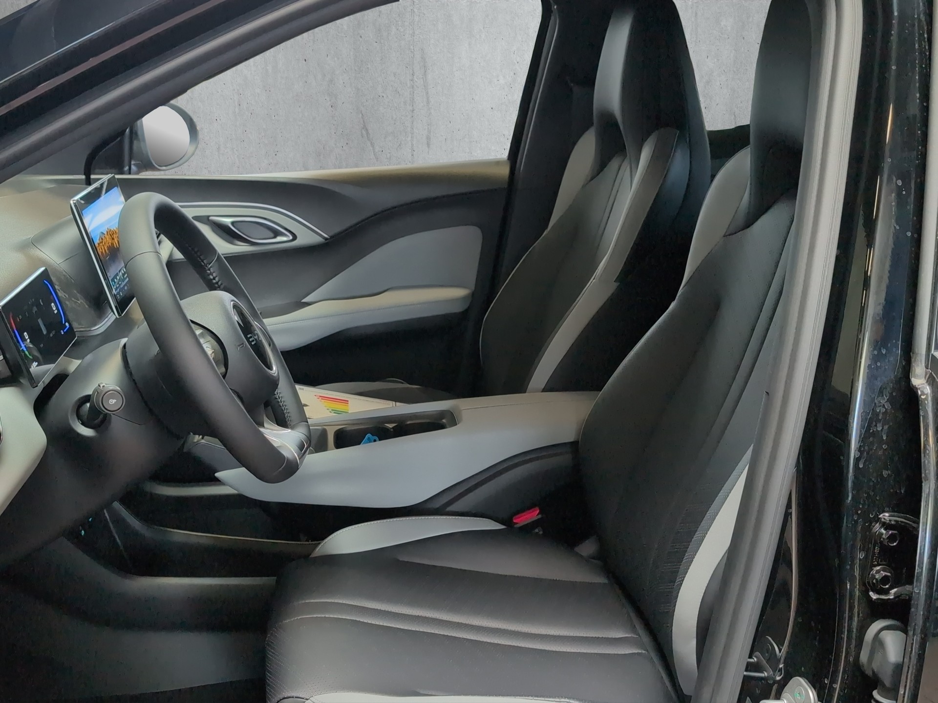 BYD Dophin Surf Comfort-image-7