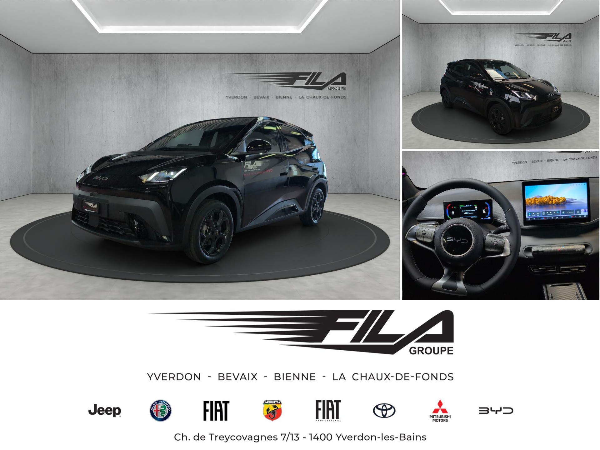 BYD Dophin Surf Comfort-image-0