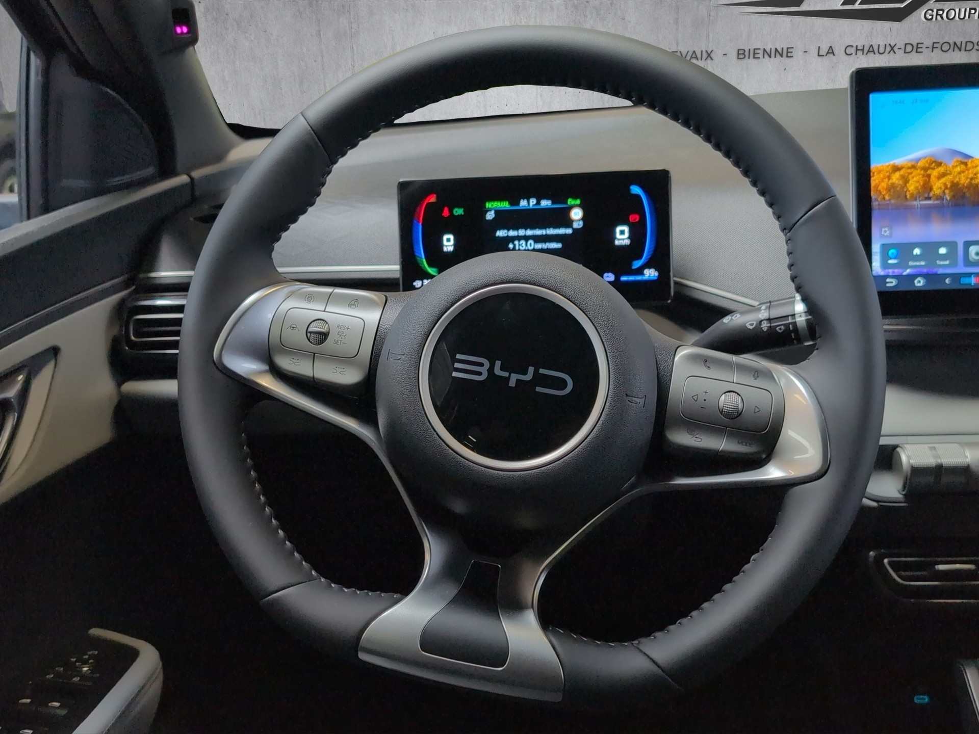 BYD Dophin Surf Comfort-image-8