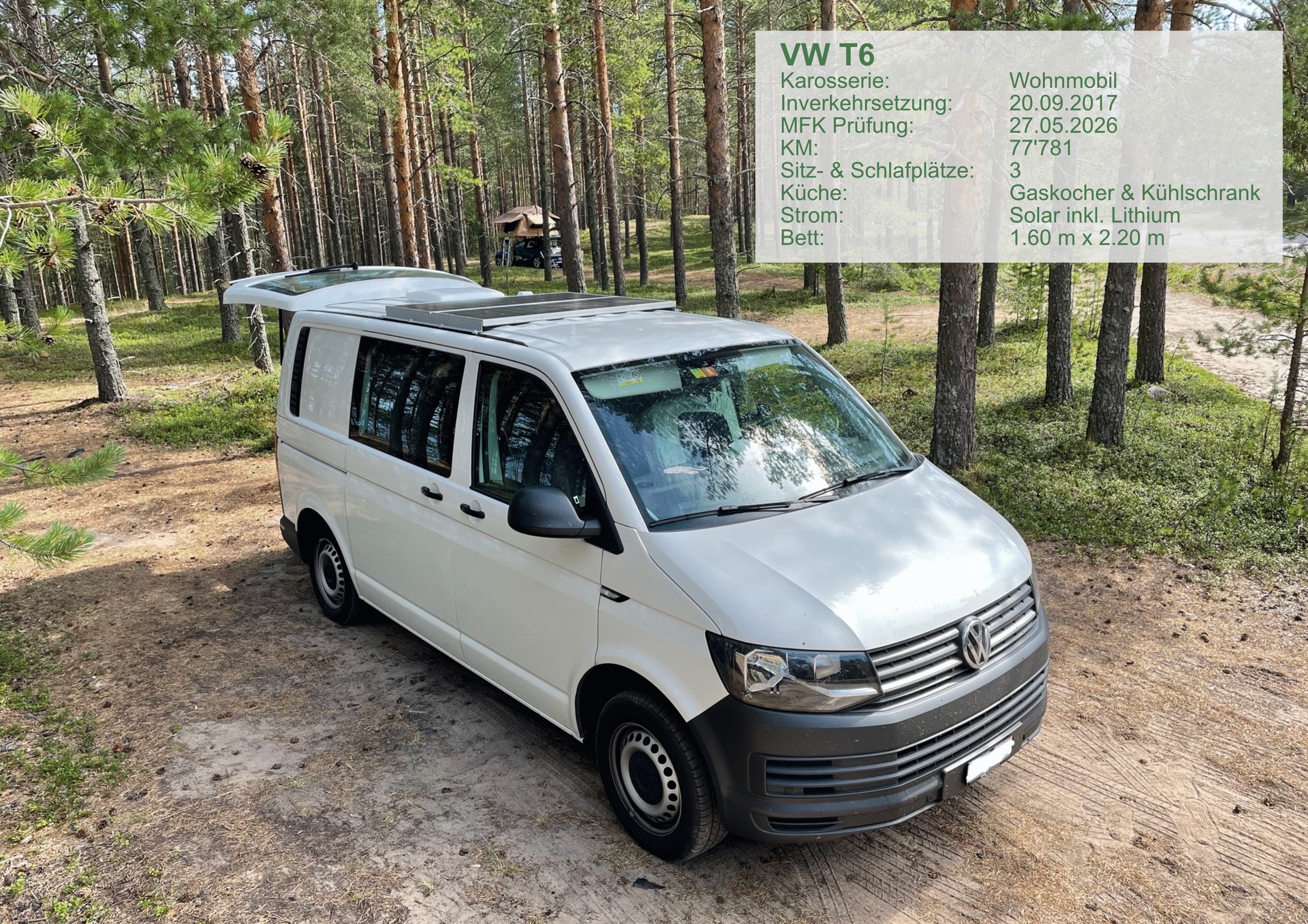 VW CALIFORNIA-image-0