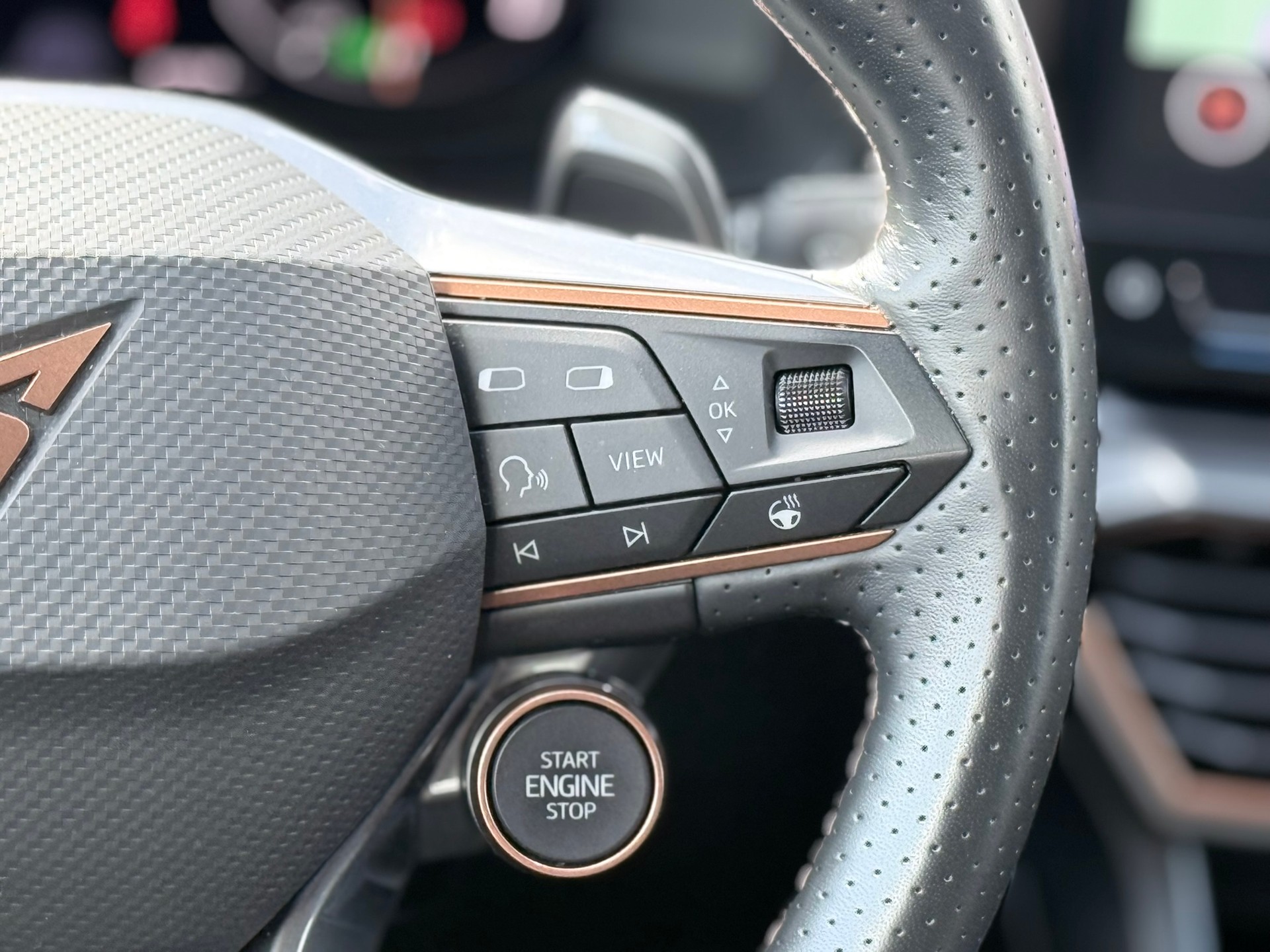 CUPRA Formentor 2.5TSI VZ5 Taiga Grey 4Drive DSG-image-26