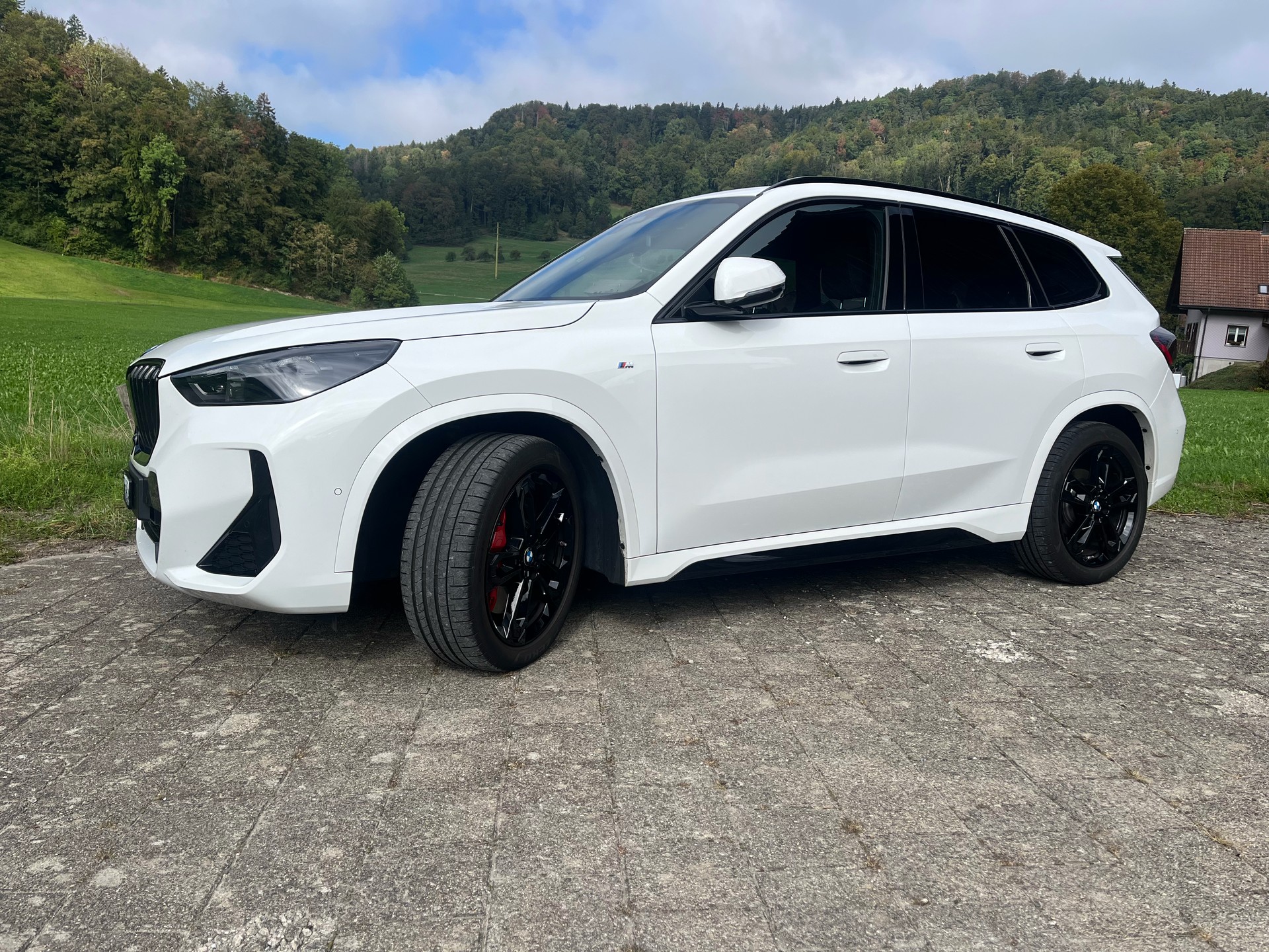 BMW X1 x20d xDrive Paddles M Sport Pro-image-0