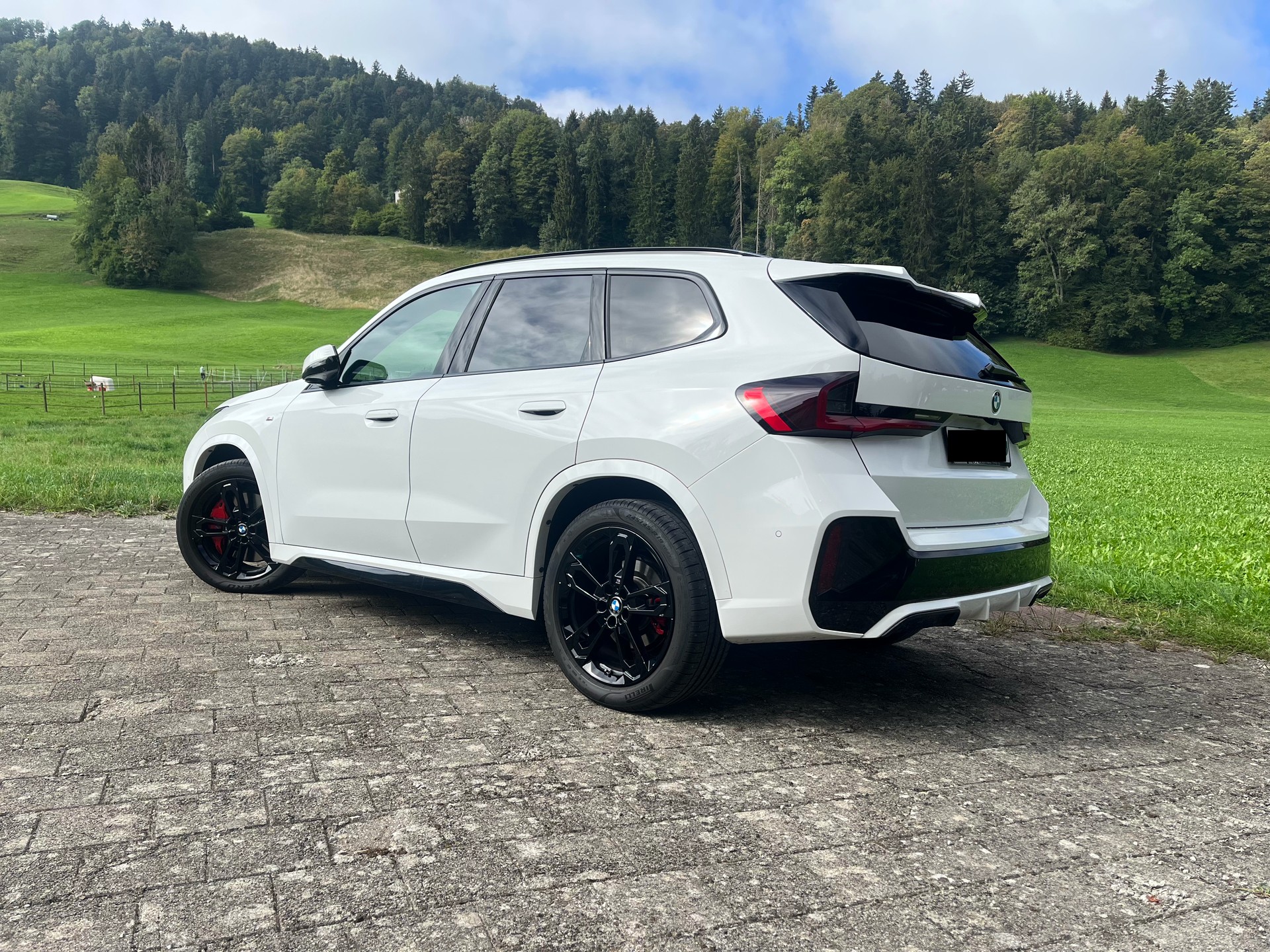 BMW X1 x20d xDrive Paddles M Sport Pro-image-6