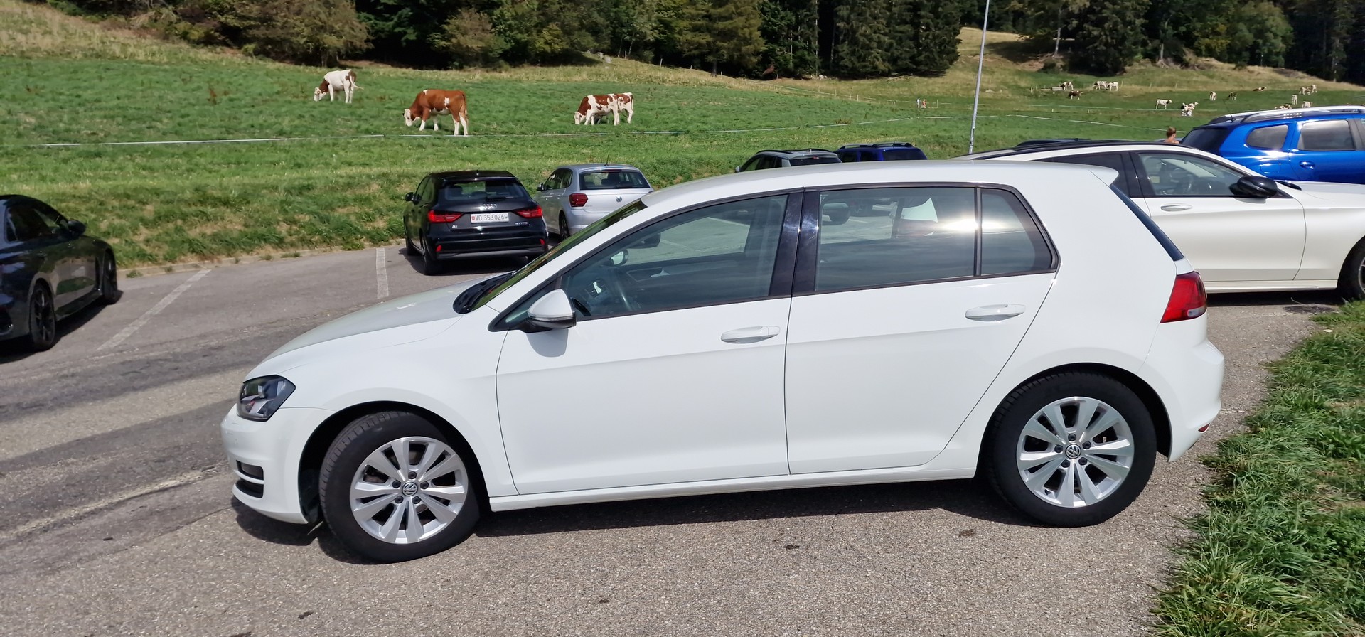 VW Golf VII 1.2TSI 5 Bluemotion-image-5