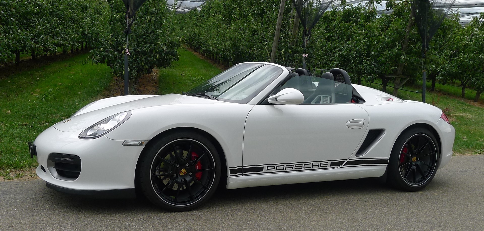 PORSCHE Boxster 3.4 Spyder-image-1