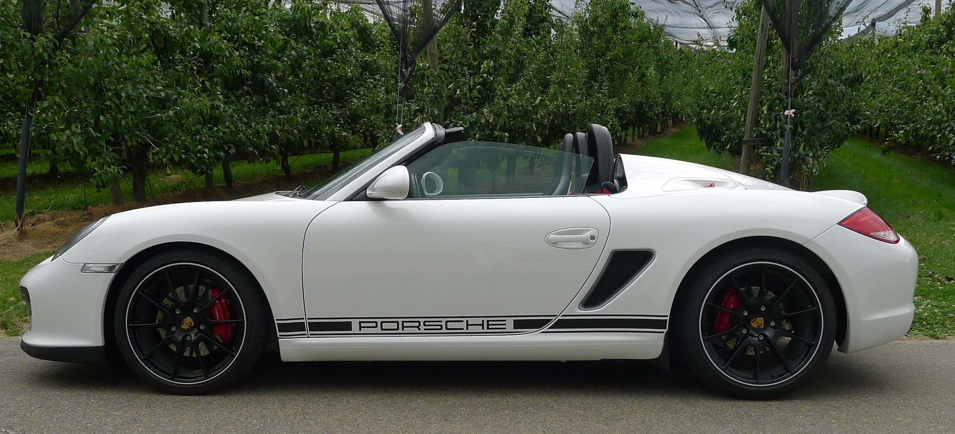 PORSCHE Boxster 3.4 Spyder-image-3