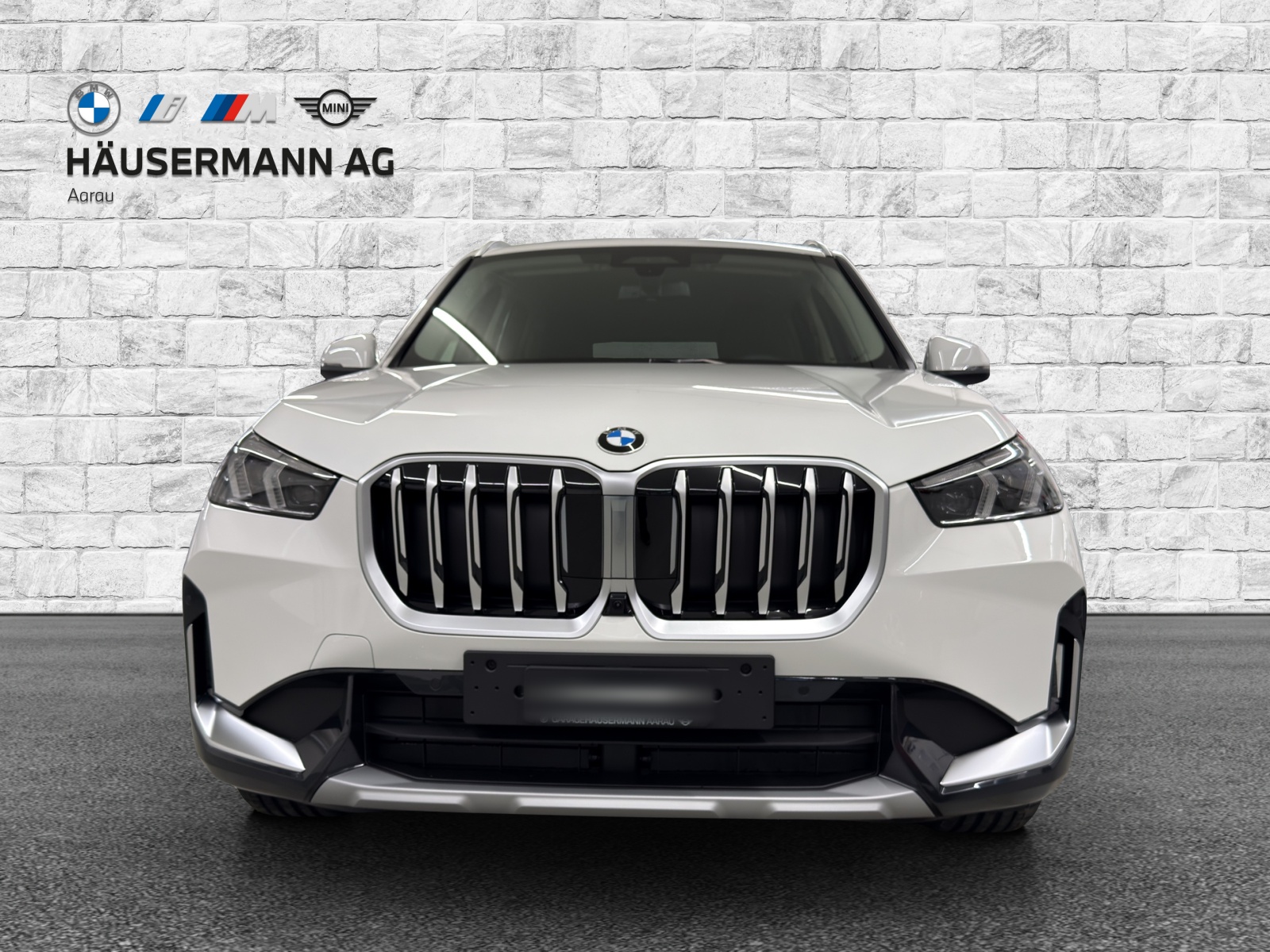 BMW X1 xDrive 20d 48V xLine-image-1