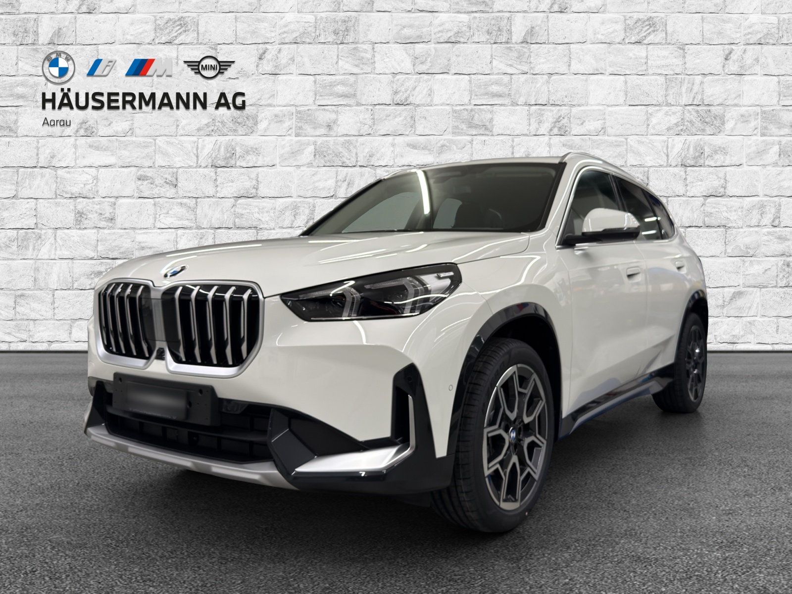 BMW X1 xDrive 20d 48V xLine-image-0