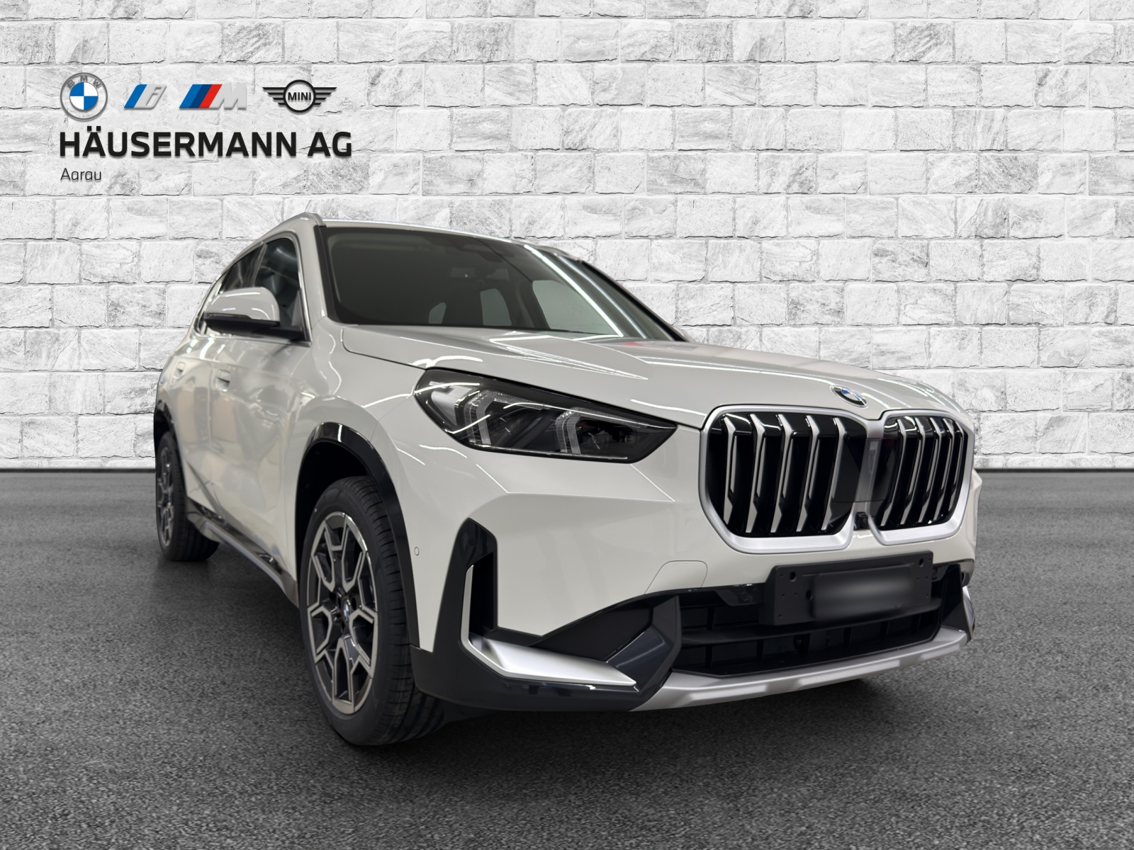 BMW X1 xDrive 20d 48V xLine-image-2