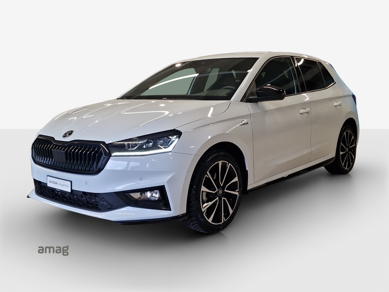 SKODA Fabia 1.0 TSI Monte Carlo DSG-image-0