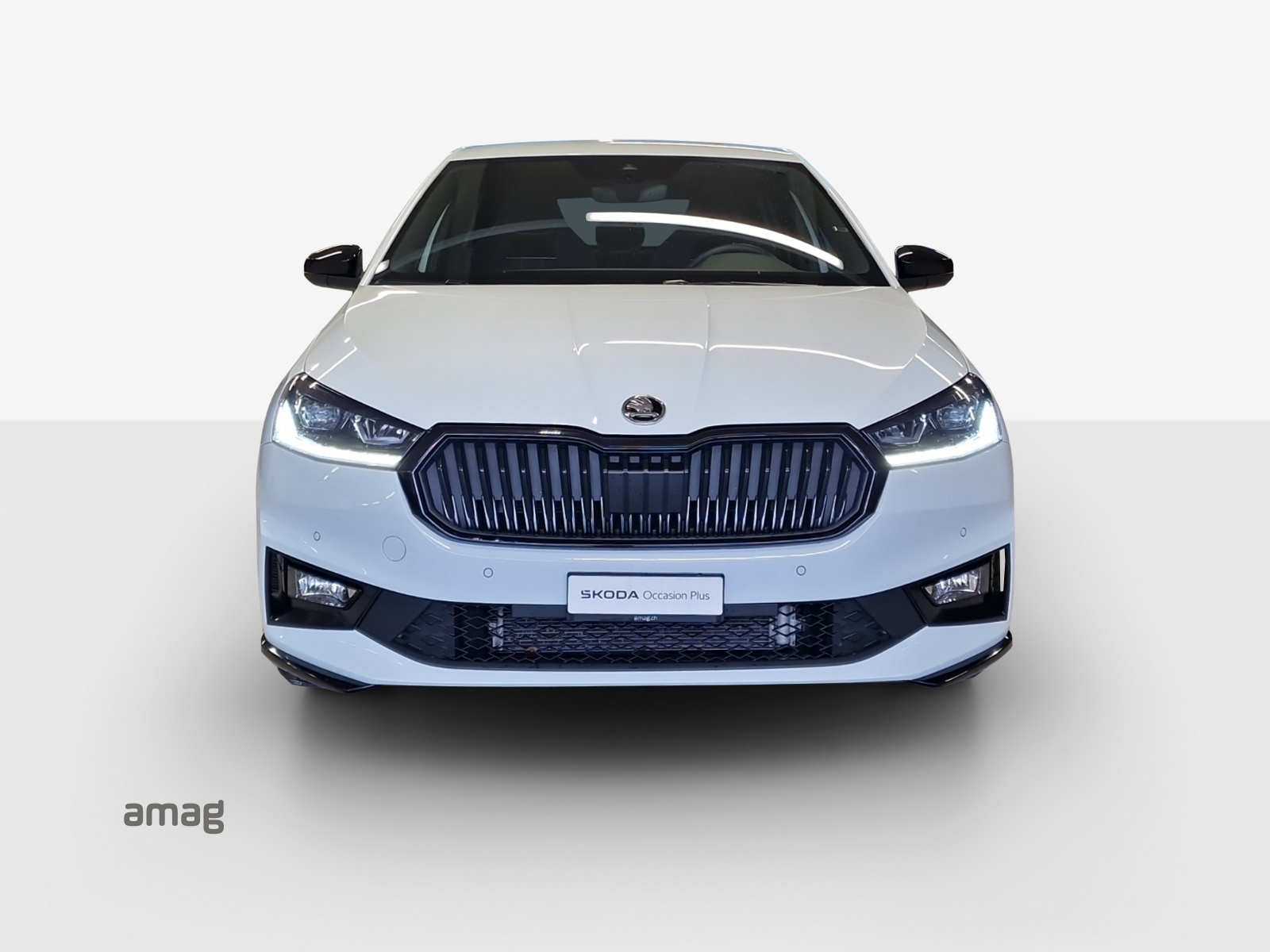 SKODA Fabia 1.0 TSI Monte Carlo DSG-image-6