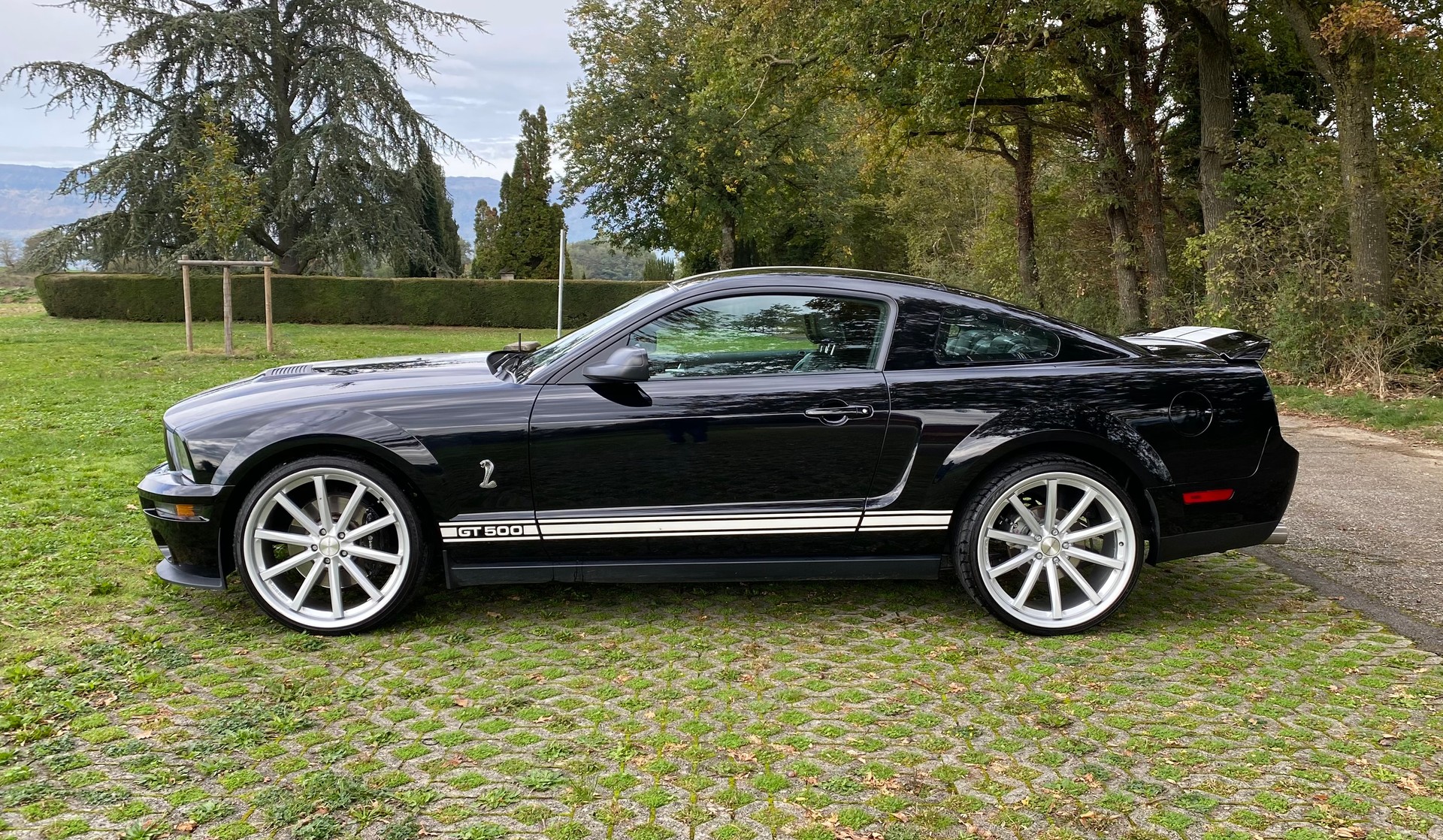 FORD Mustang GT 500 Shelby-image-7