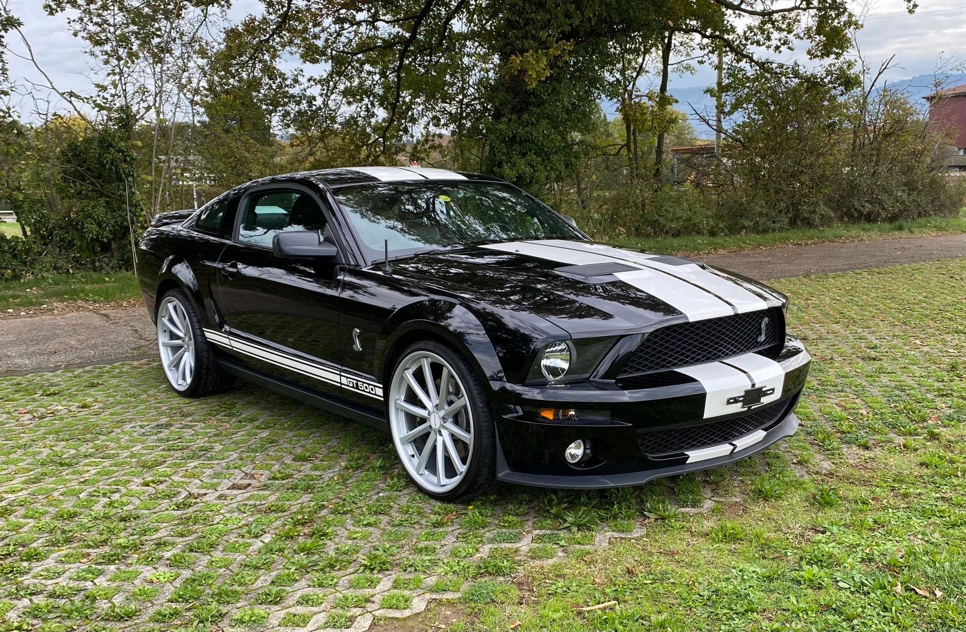 FORD Mustang GT 500 Shelby-image-2