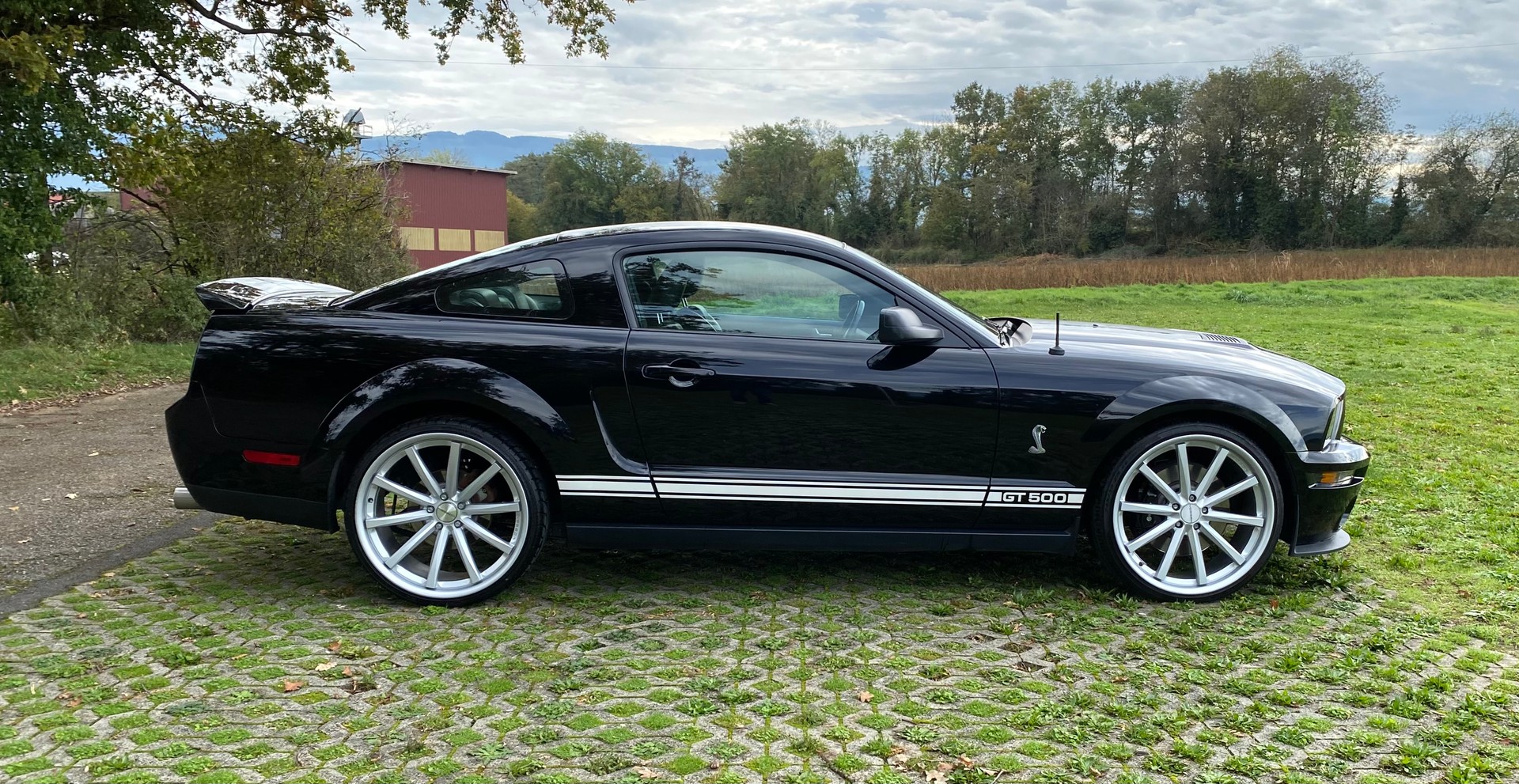 FORD Mustang GT 500 Shelby-image-6