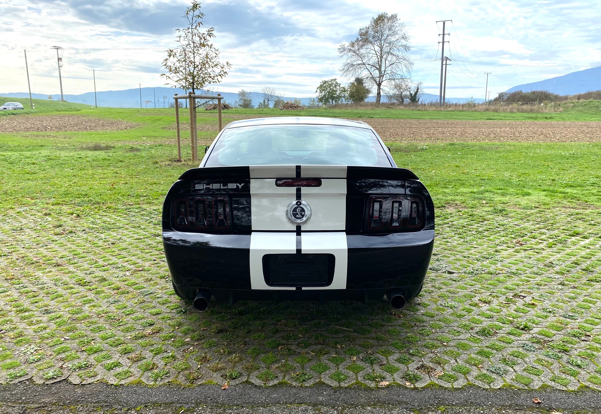 FORD Mustang GT 500 Shelby-image-4