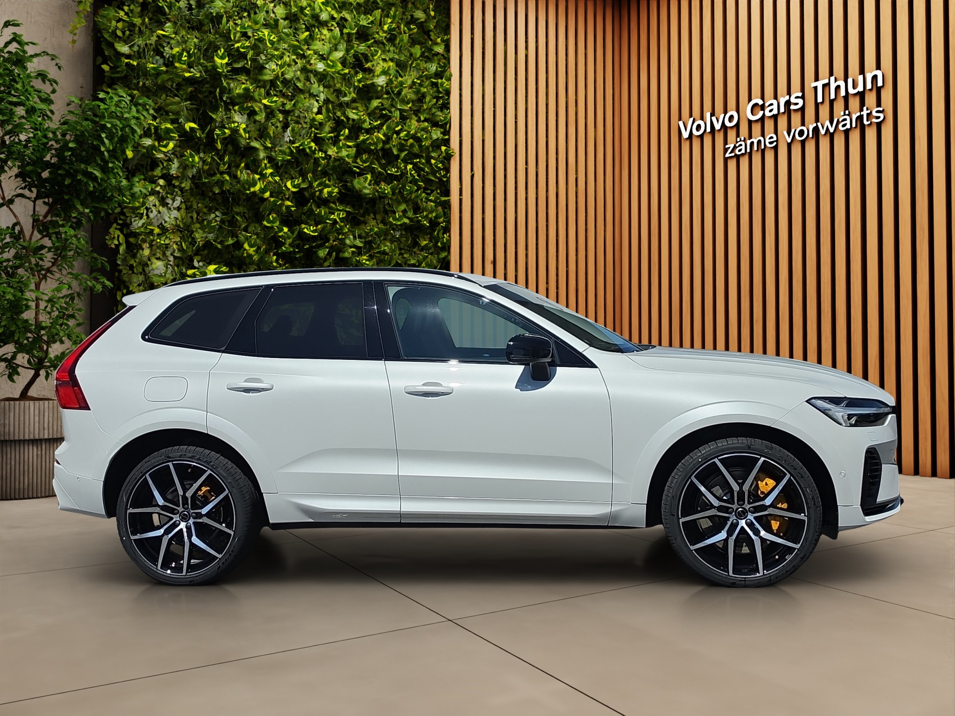 VOLVO XC60 2.0 T8 TE Polestar eAWD-image-3