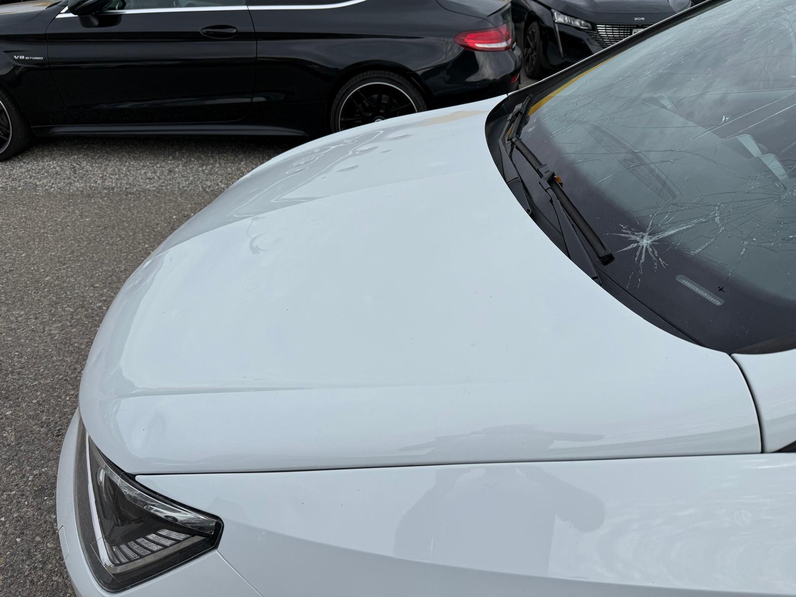 SEAT Ibiza 1.0 TSI 110 FR-image-7