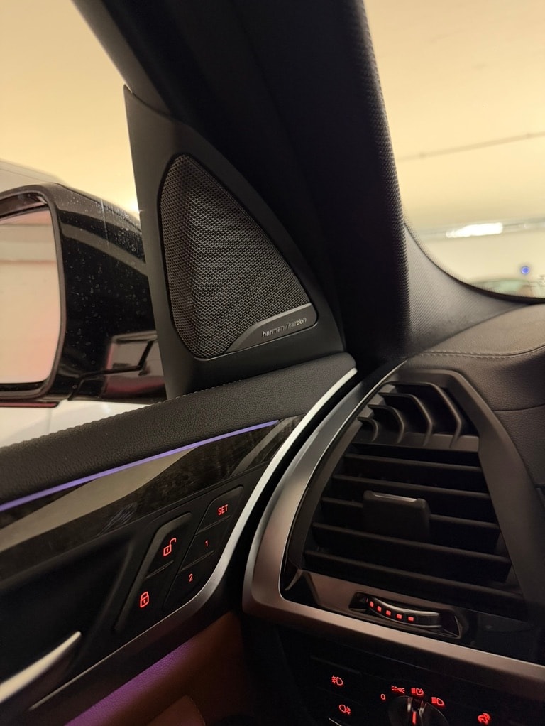 BMW X4 xDrive30i M Sport-image-9