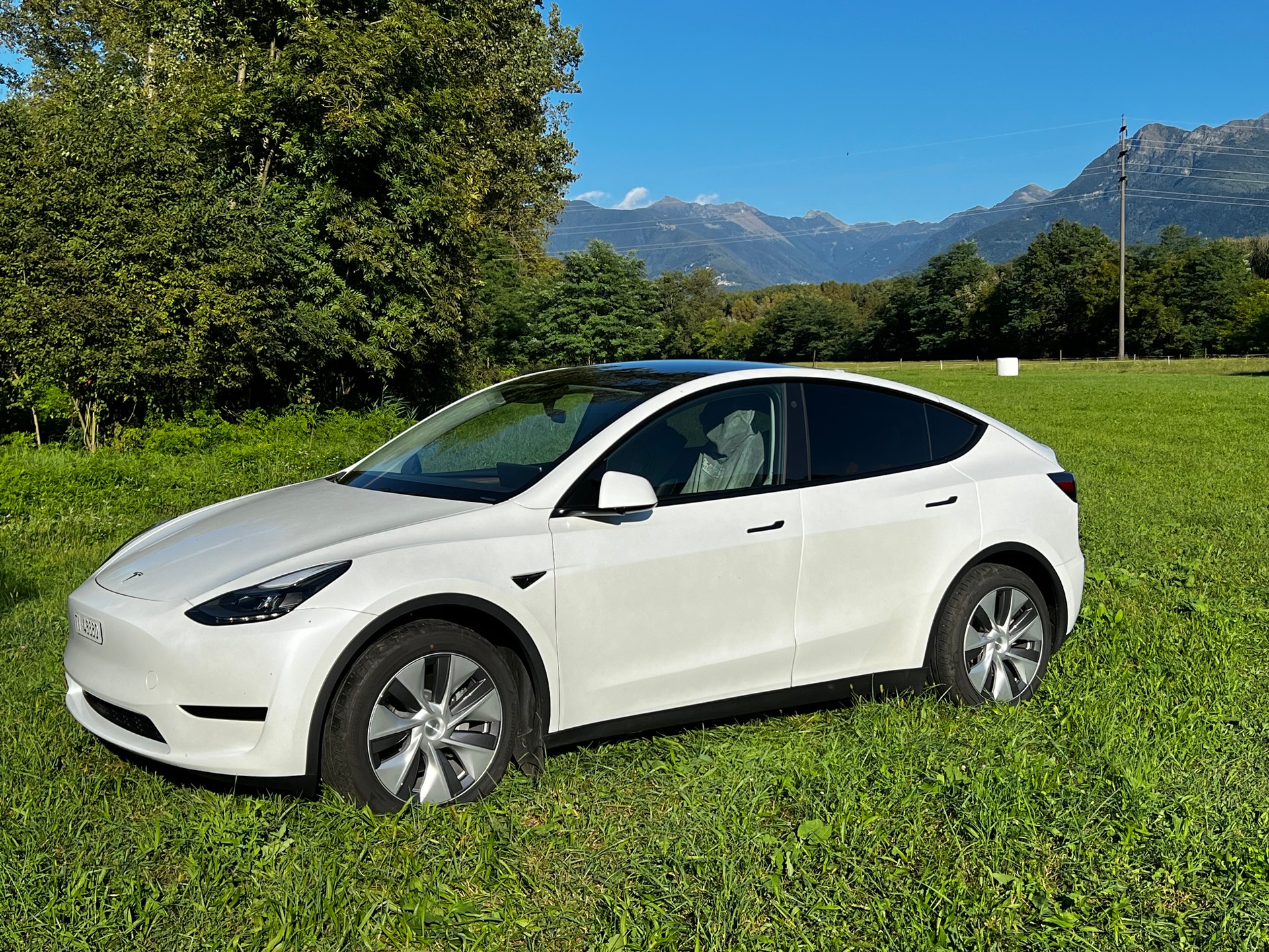TESLA Model Y RWD-image-4