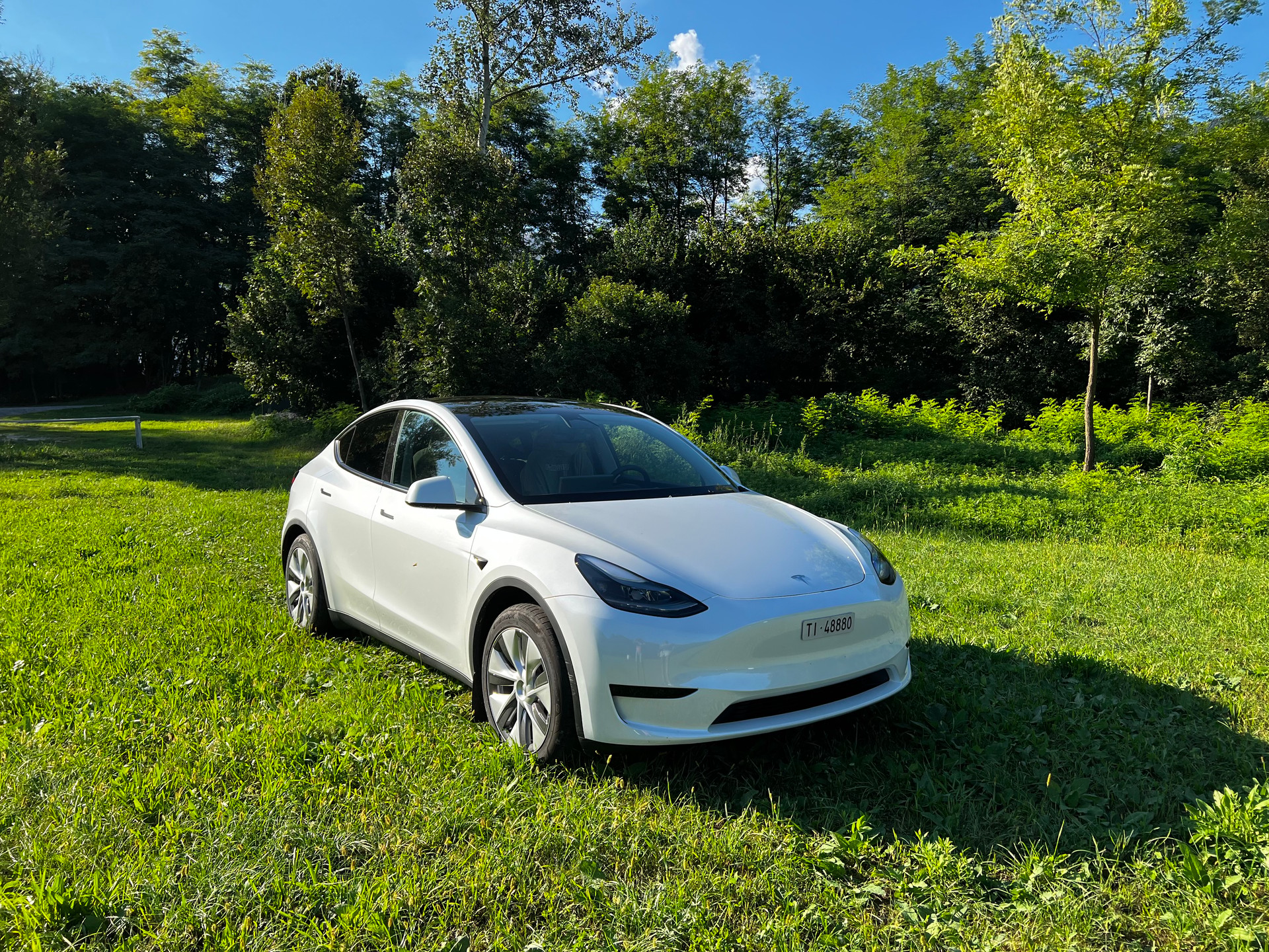 TESLA Model Y RWD-image-0