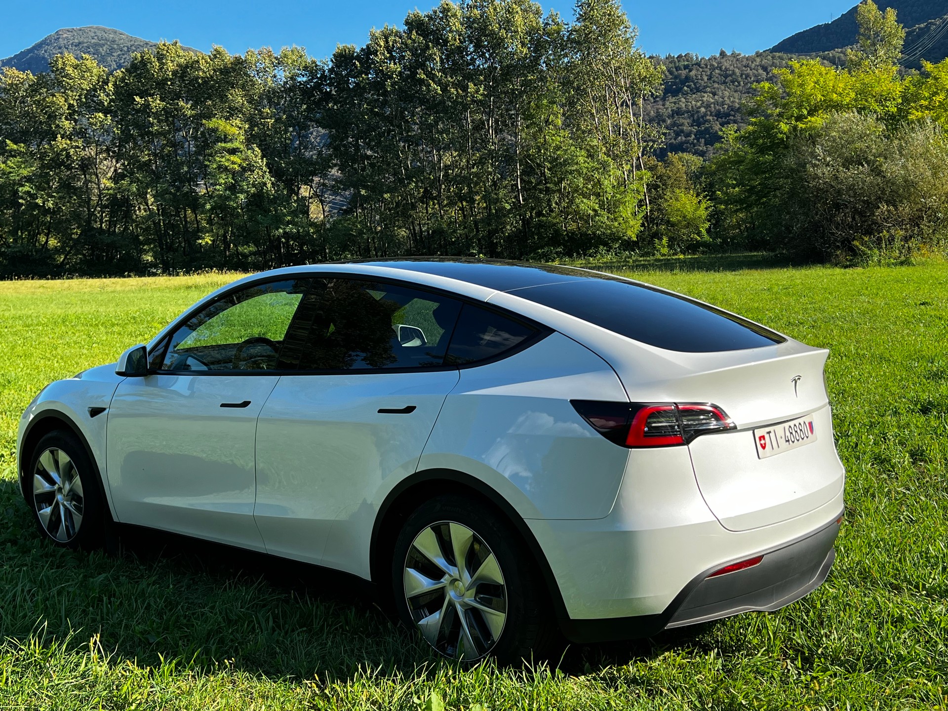 TESLA Model Y RWD-image-5