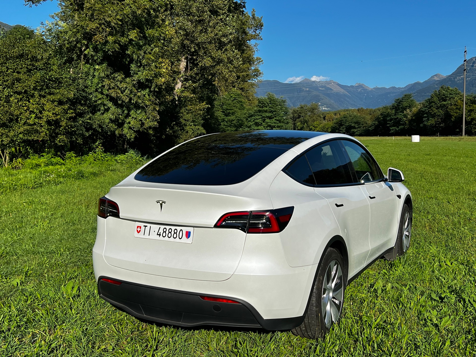 TESLA Model Y RWD-image-1