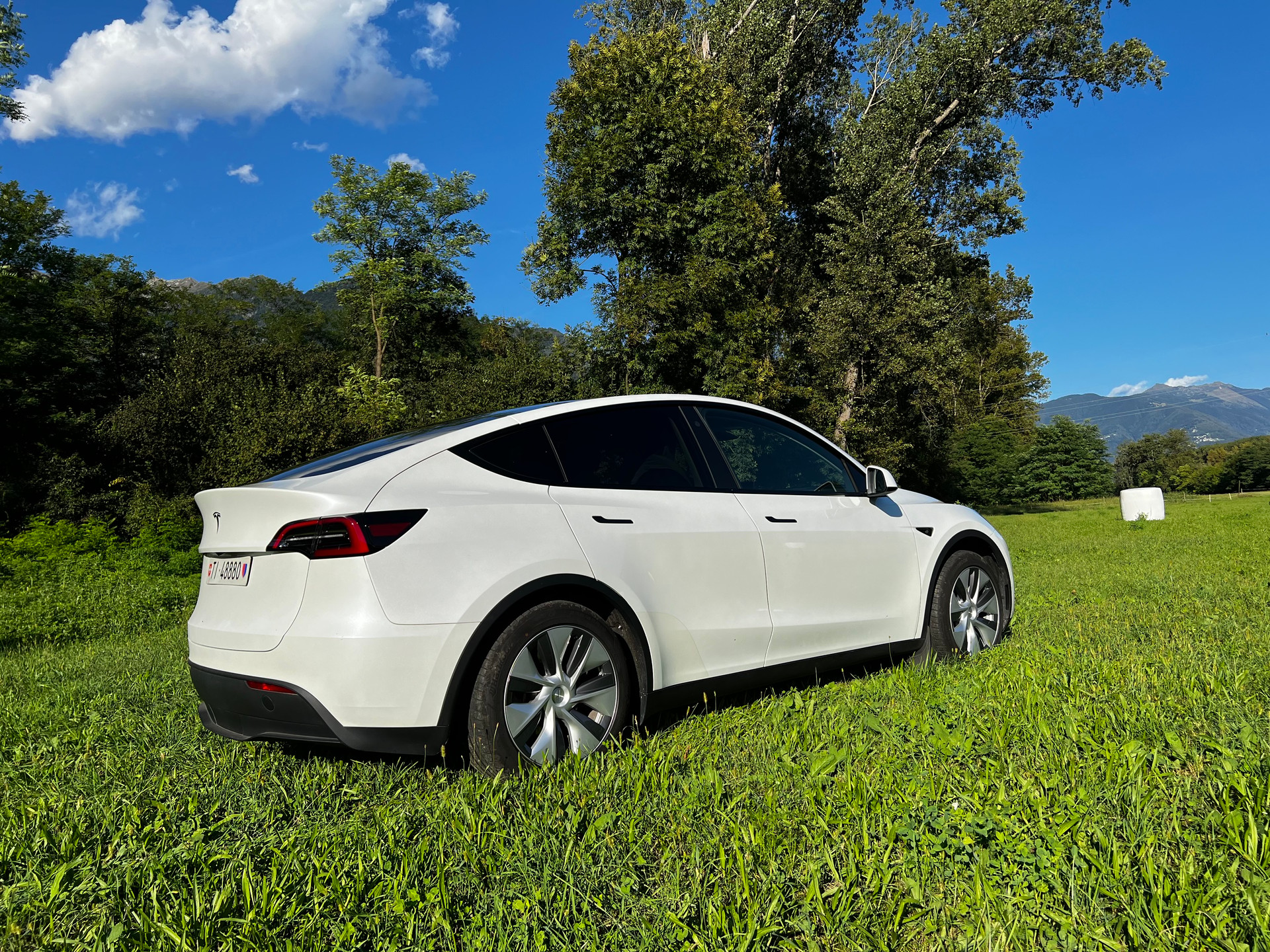 TESLA Model Y RWD-image-2