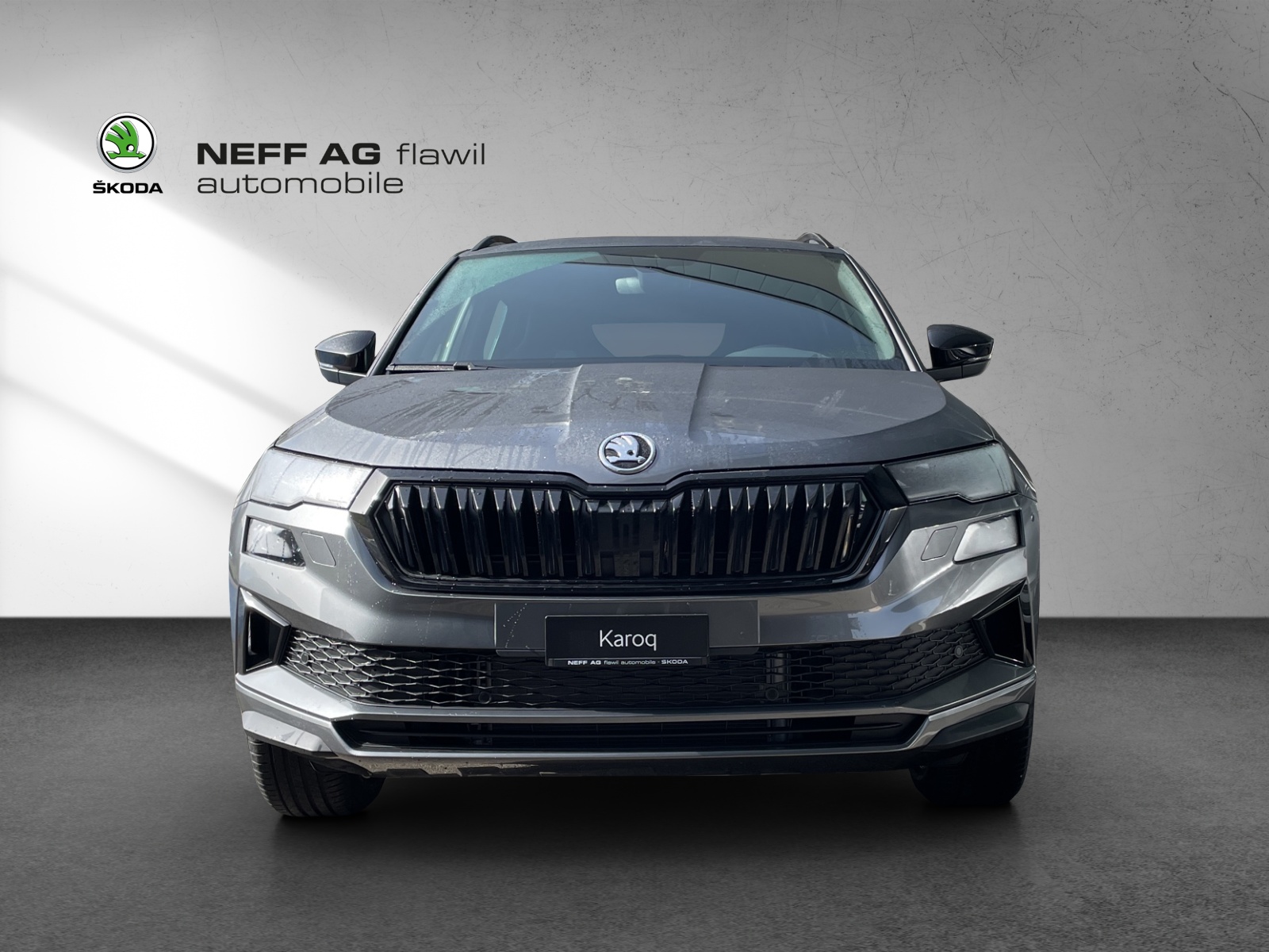 SKODA SKODA Karoq Dynamic limited Edition (Netto)-showroom-element-1