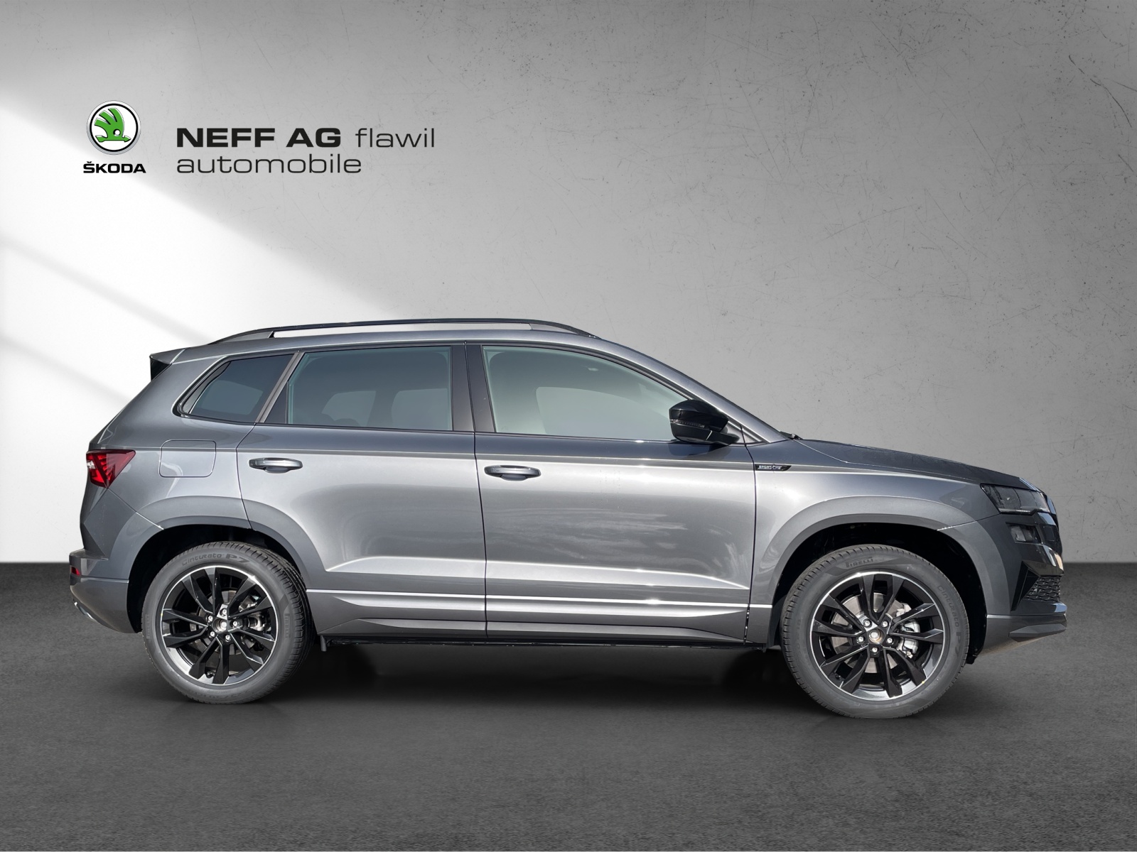 SKODA SKODA Karoq Dynamic limited Edition (Netto)-showroom-element-3
