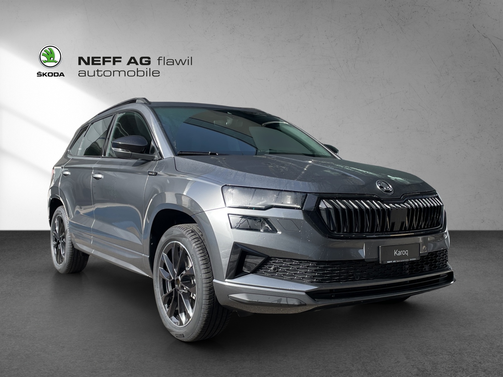 SKODA SKODA Karoq Dynamic limited Edition (Netto)-showroom-element-2