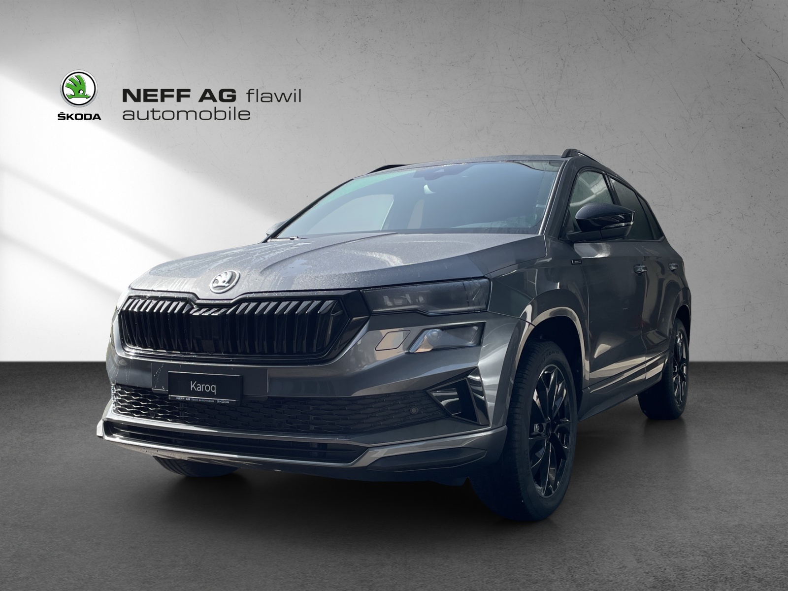 SKODA SKODA Karoq Dynamic limited Edition (Netto)