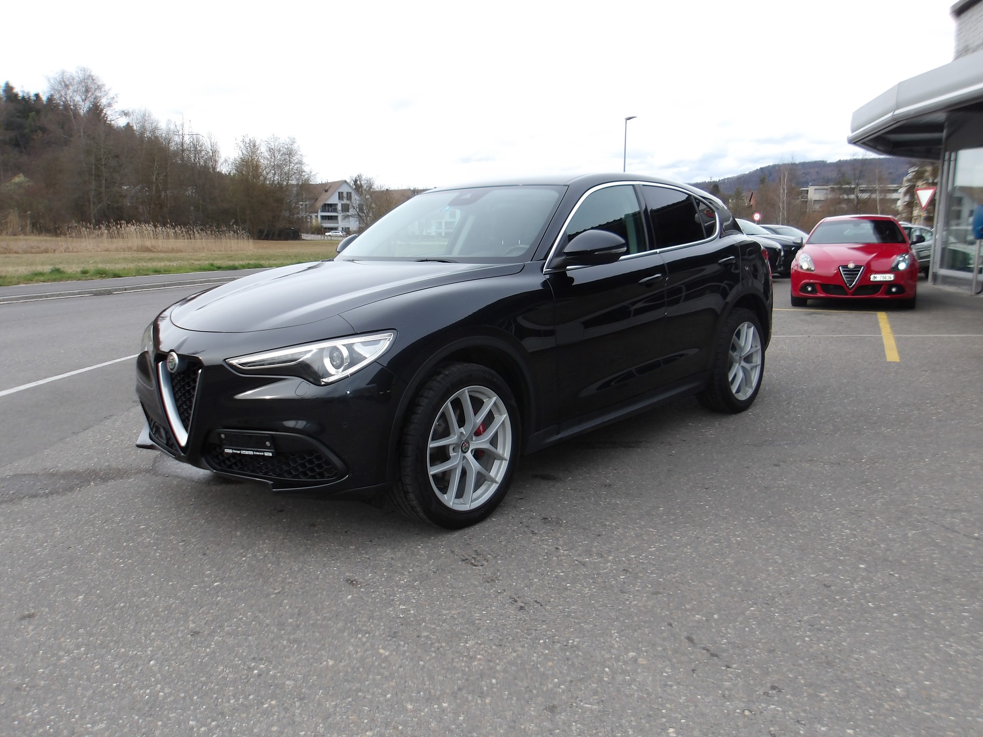 ALFA ROMEO Stelvio 2.0 First Edition Q4 Automatic-image-0