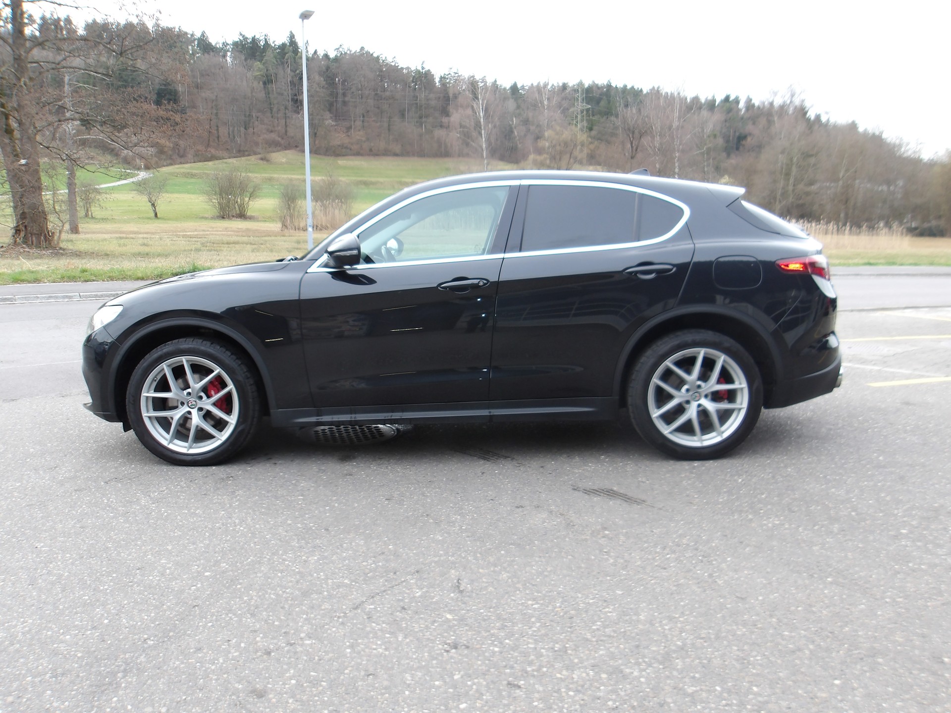 ALFA ROMEO Stelvio 2.0 First Edition Q4 Automatic-image-1