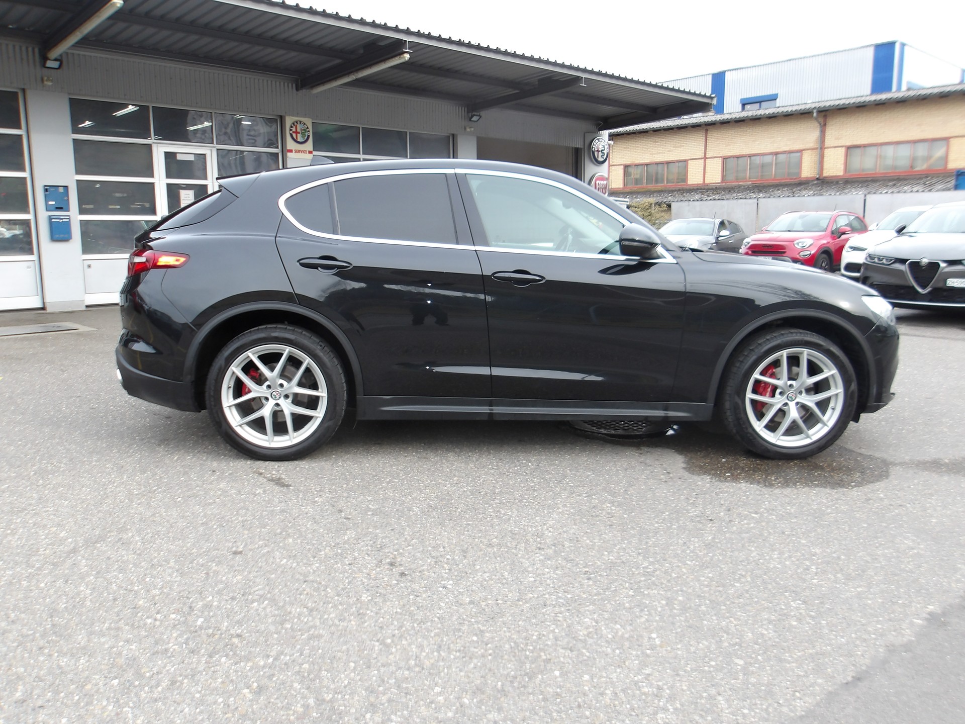 ALFA ROMEO Stelvio 2.0 First Edition Q4 Automatic-image-5
