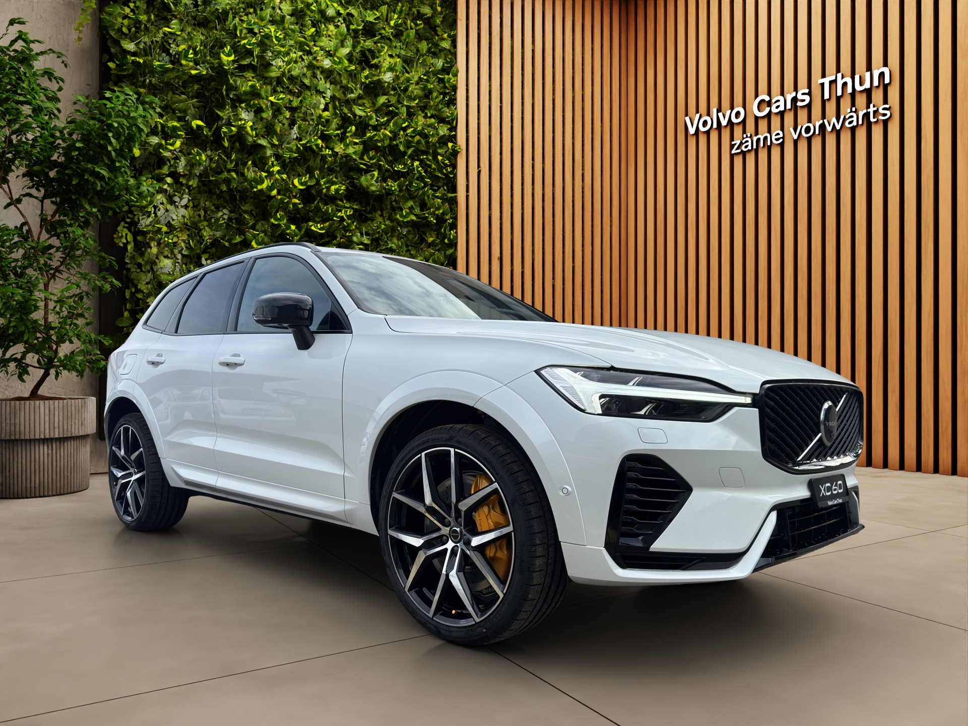 VOLVO XC60 2.0 T8 TE Polestar eAWD-image-2