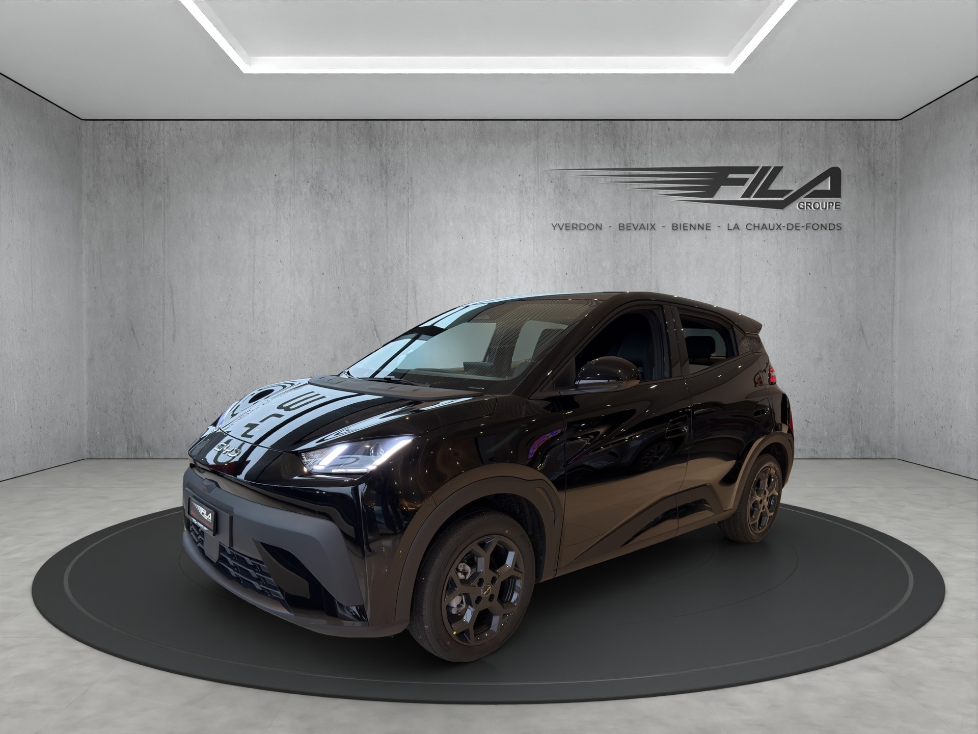 BYD Dophin Surf Comfort-image-1