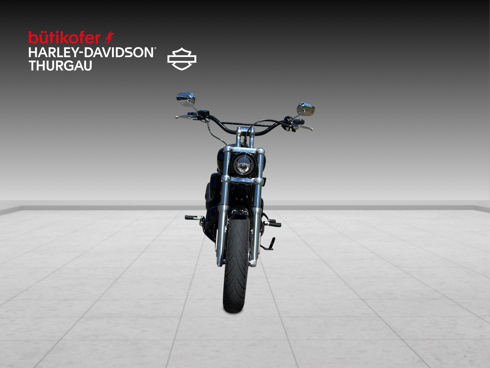 HARLEY-DAVIDSON FXST Softail Standard 107-image-6