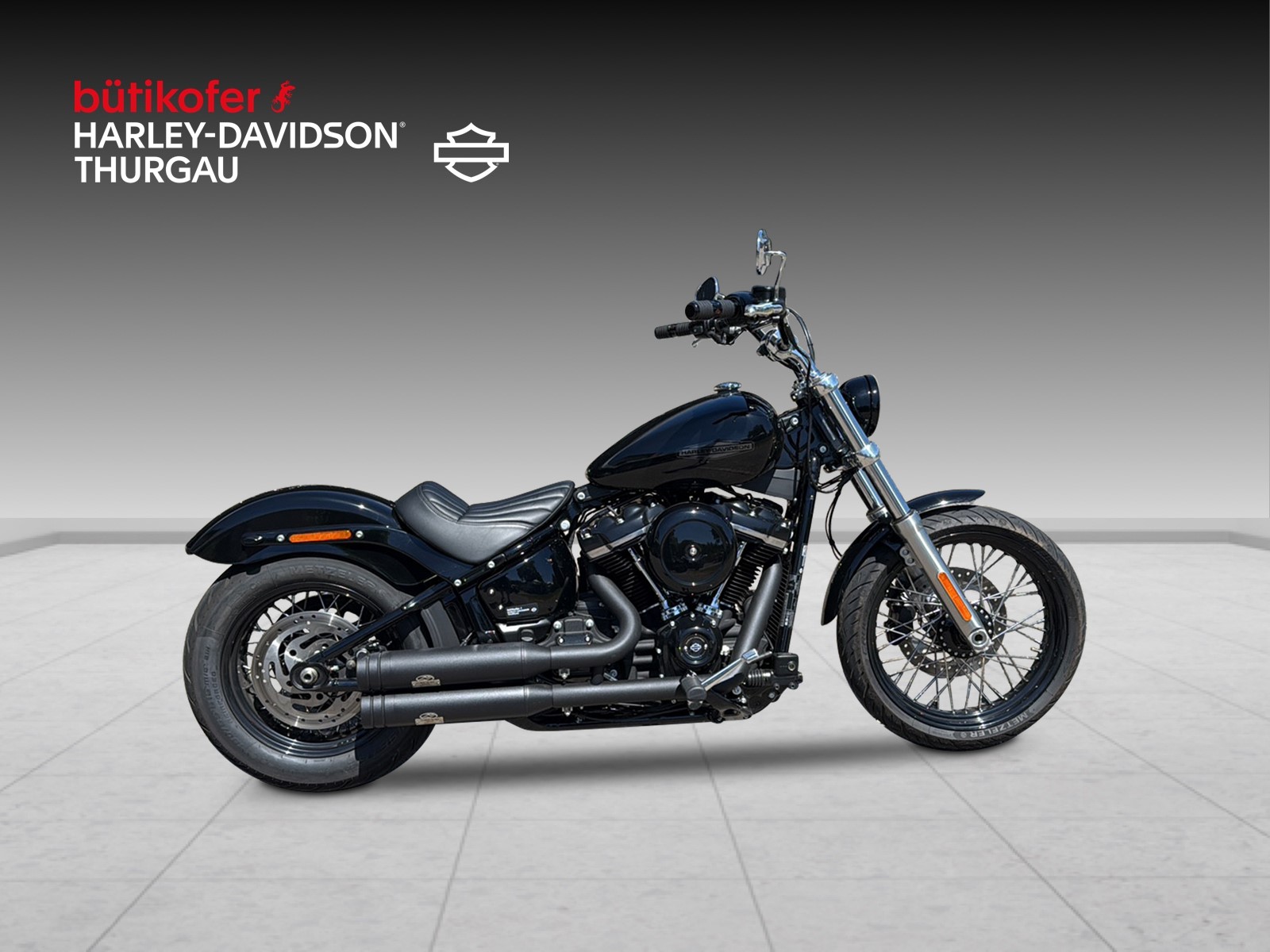 HARLEY-DAVIDSON FXST Softail Standard 107-showroom-element-1