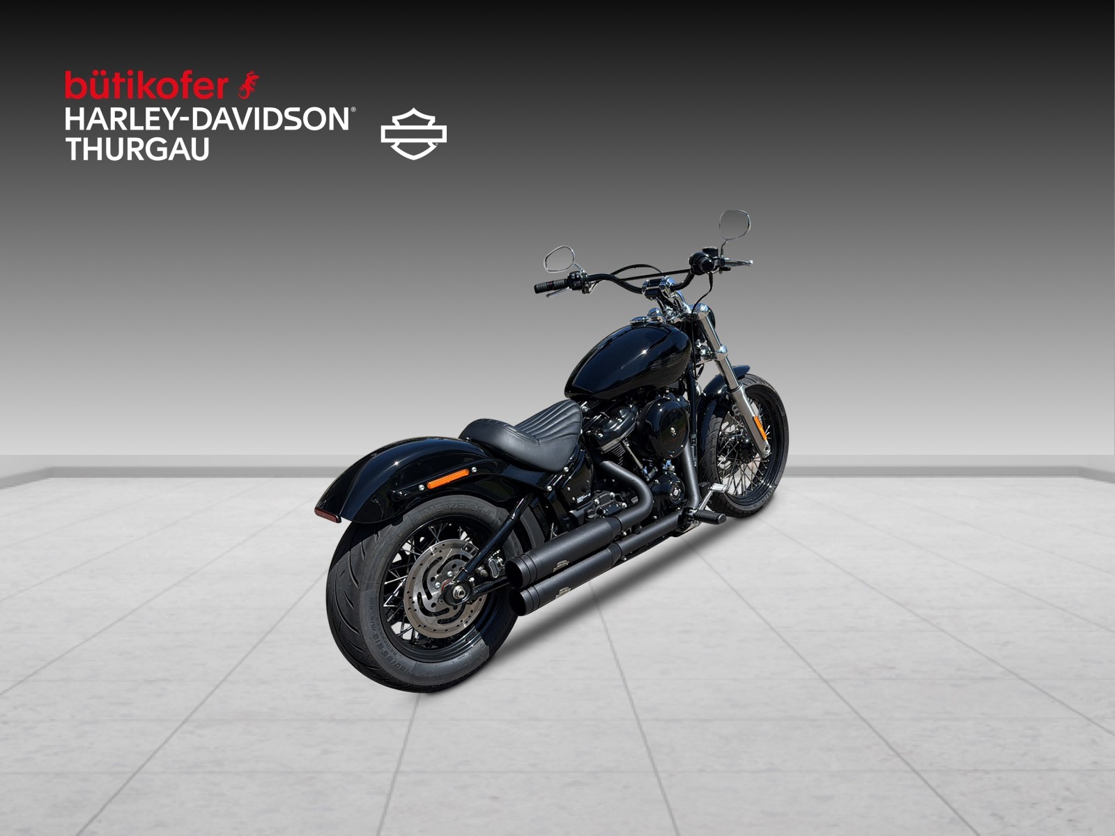 HARLEY-DAVIDSON FXST Softail Standard 107-showroom-element-2