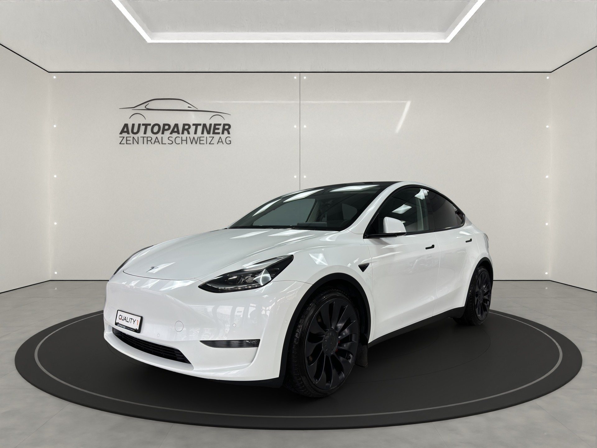 TESLA Model Y Performance-image-1
