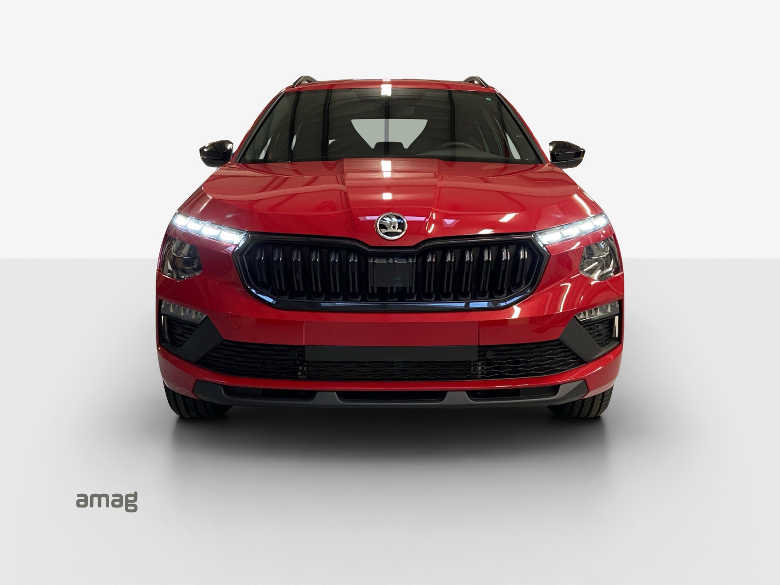 SKODA Kamiq 1.5 TSI Dynamic DSG-image-6