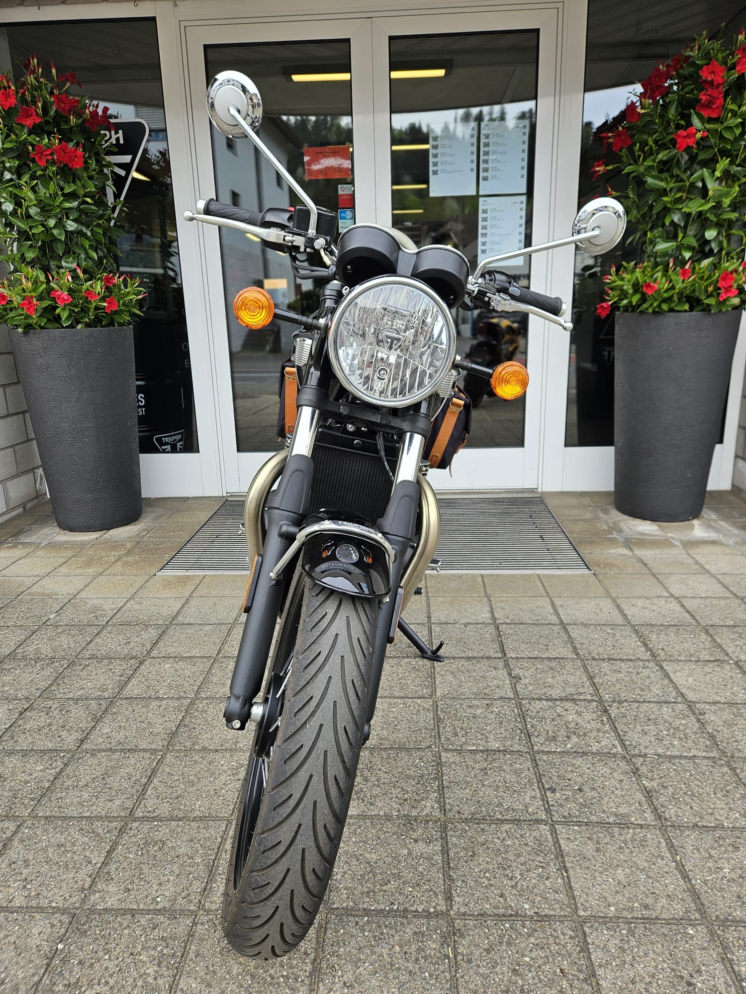 TRIUMPH Bonneville 900 T 100-image-5
