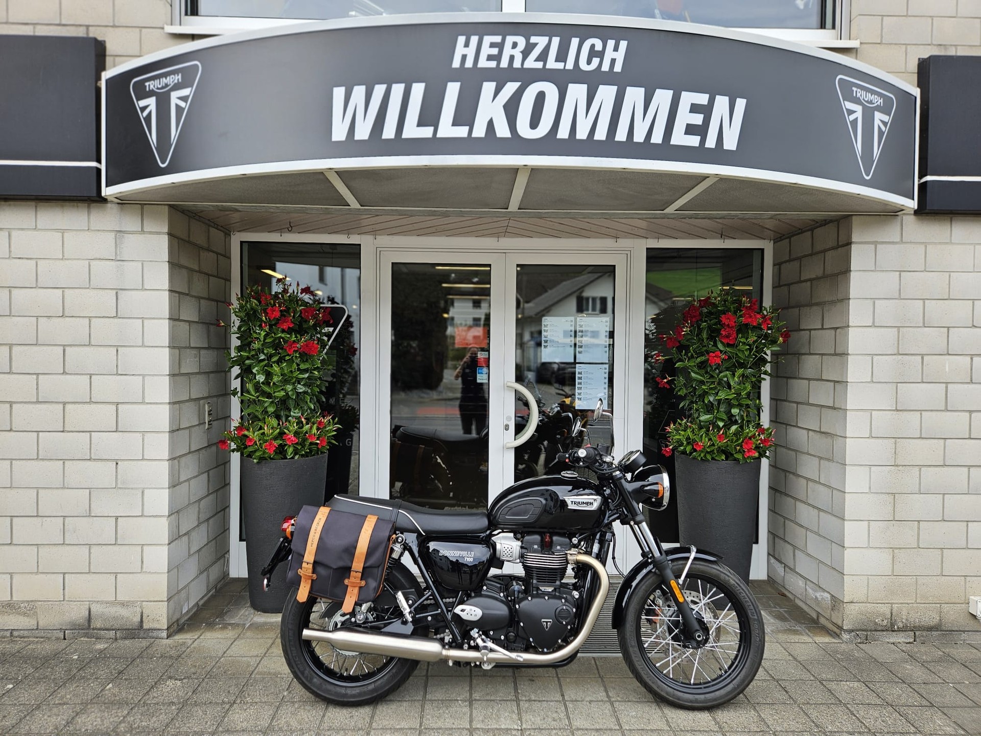 TRIUMPH Bonneville 900 T 100