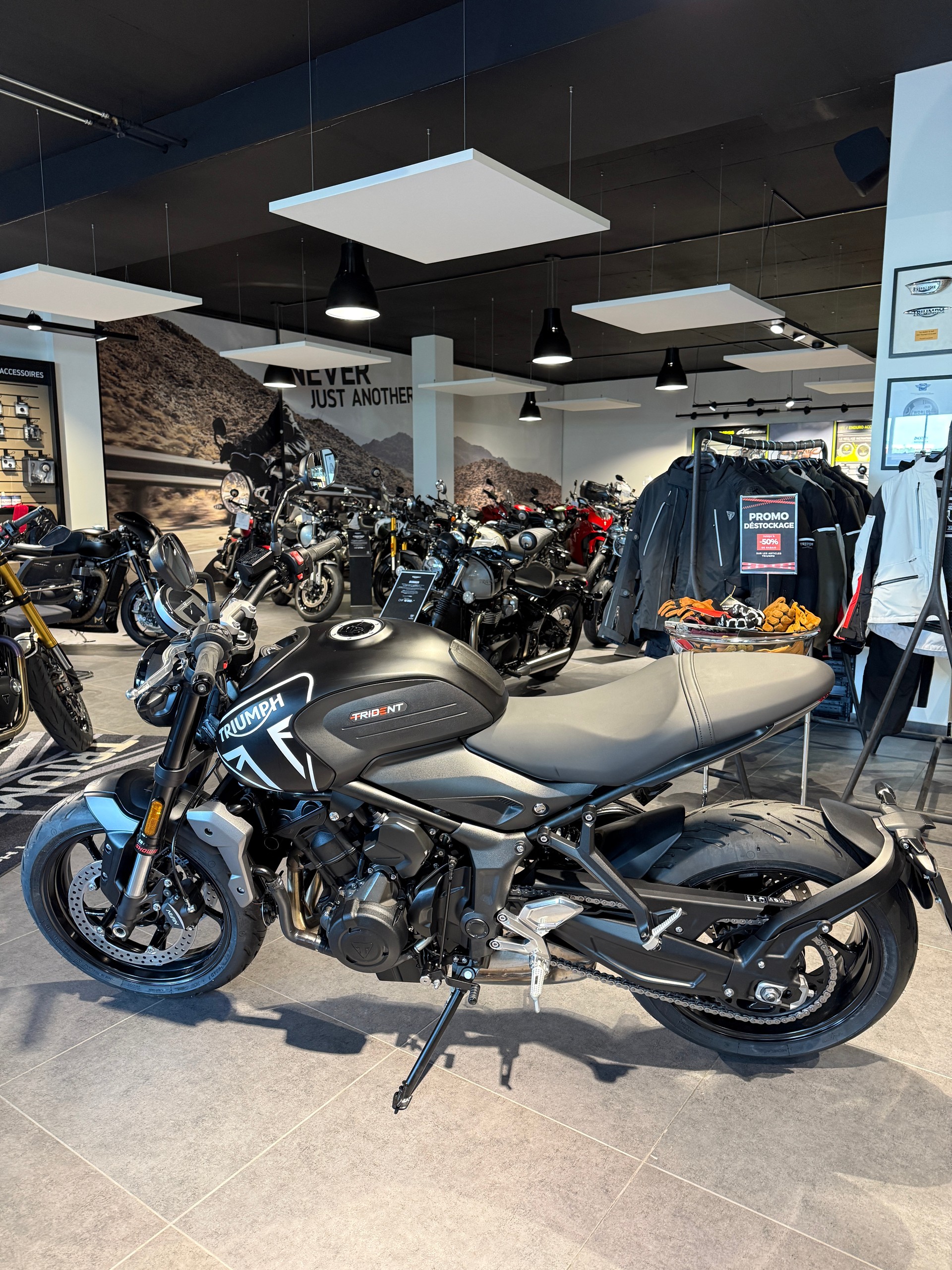 TRIUMPH Trident 660-showroom-element-1