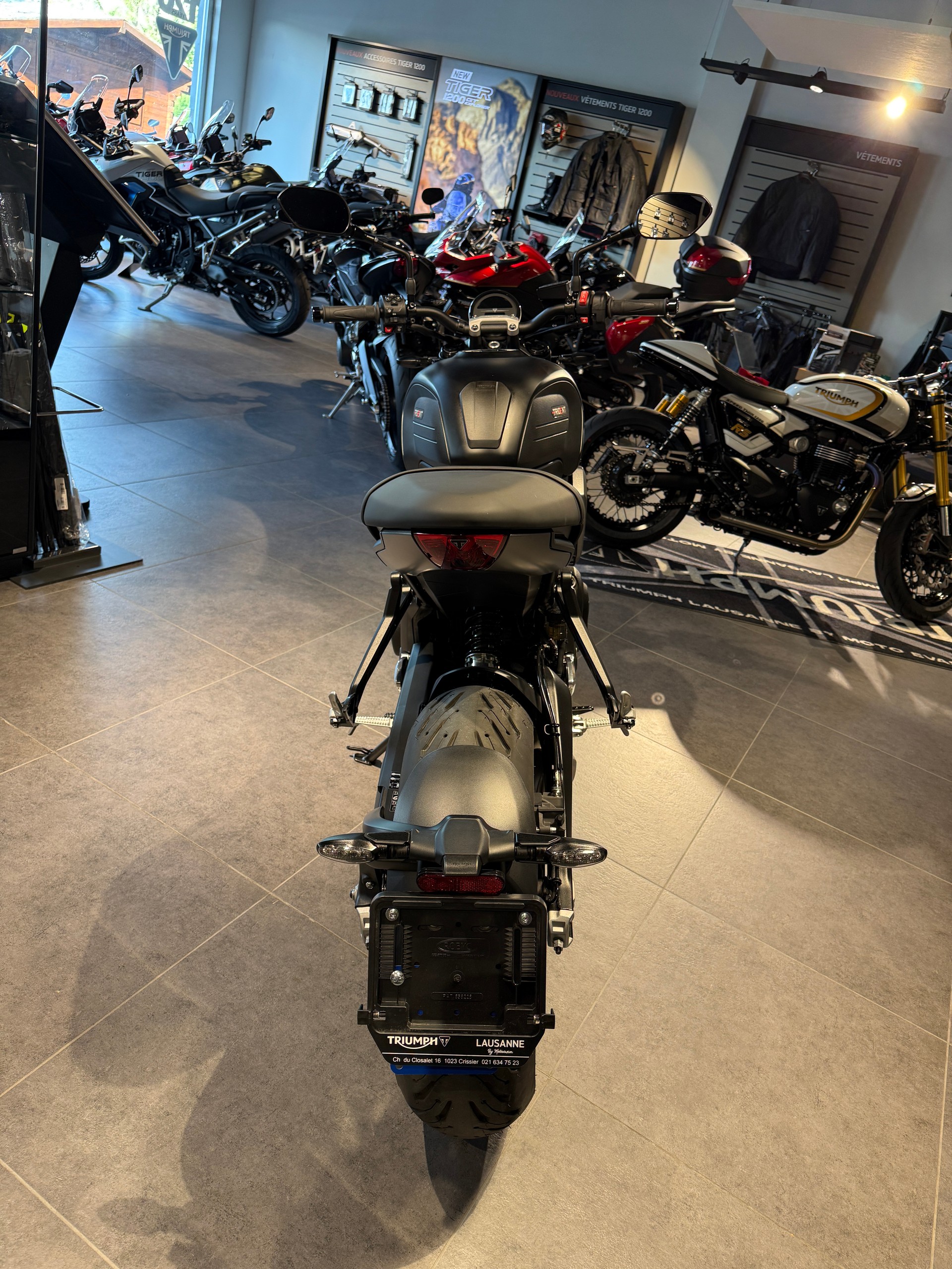 TRIUMPH Trident 660-showroom-element-3