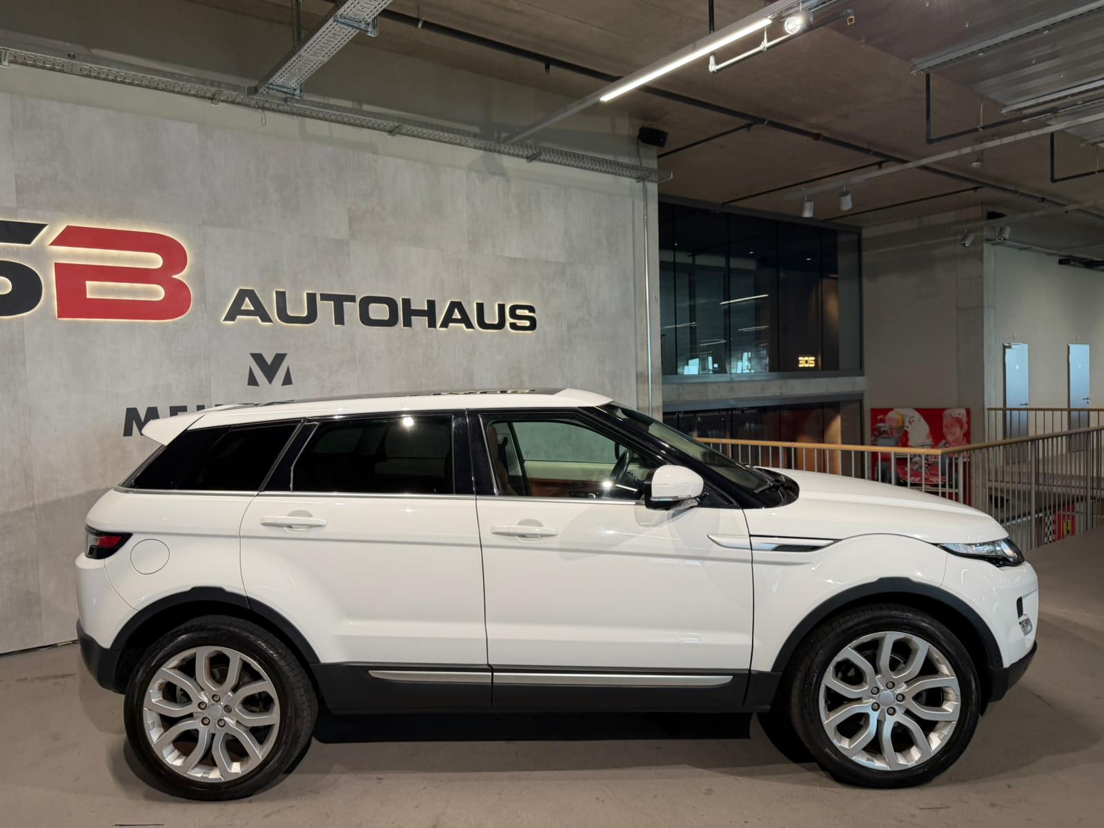 LAND ROVER Range Rover Evoque 2.2 SD4 Dynamic AT6 (CH)-image-3