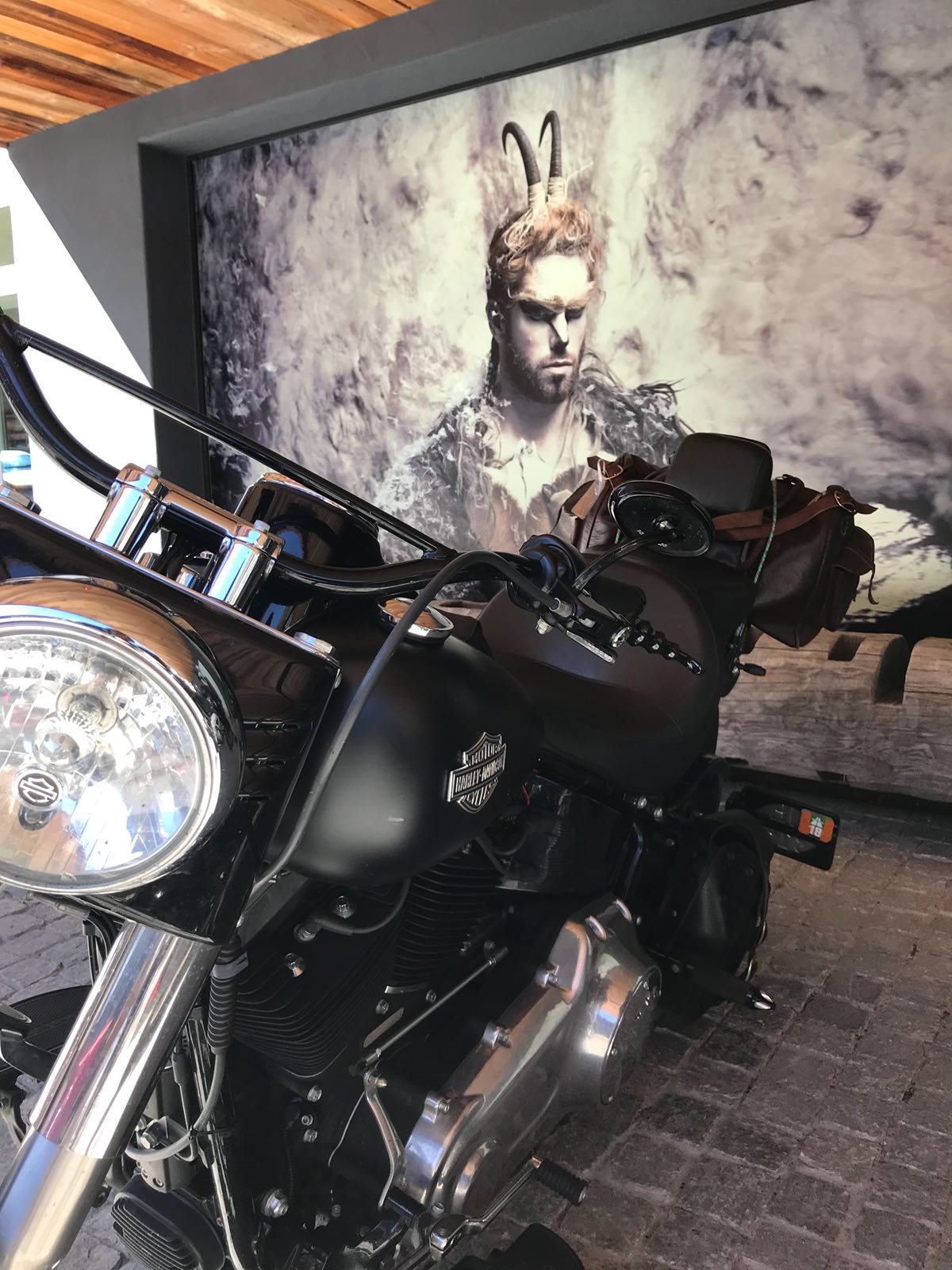 HARLEY-DAVIDSON FLS Softail Slim-image-4